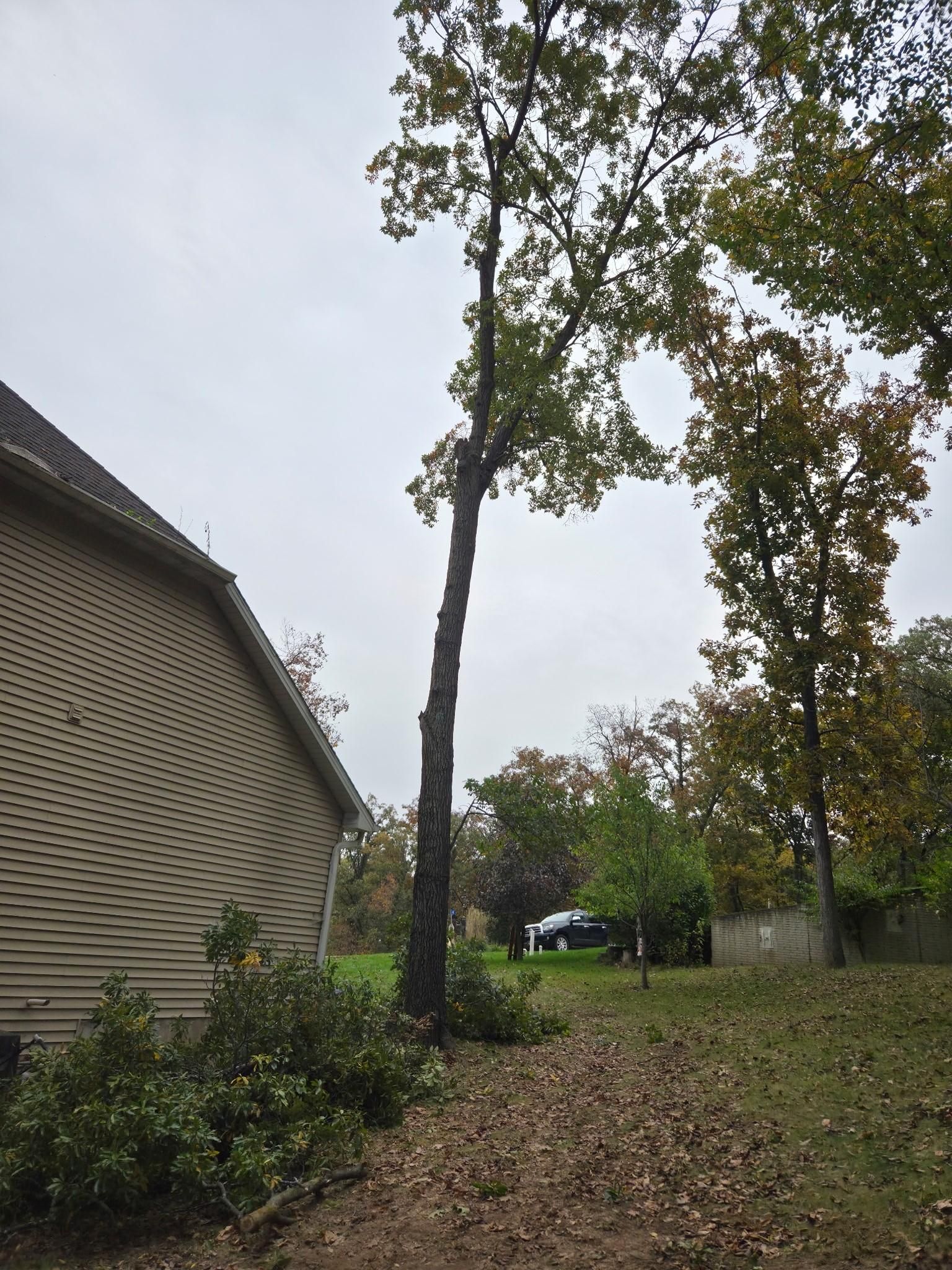  for Lawn Ranger Yard And Tree Service LLC in Ottumwa, IA