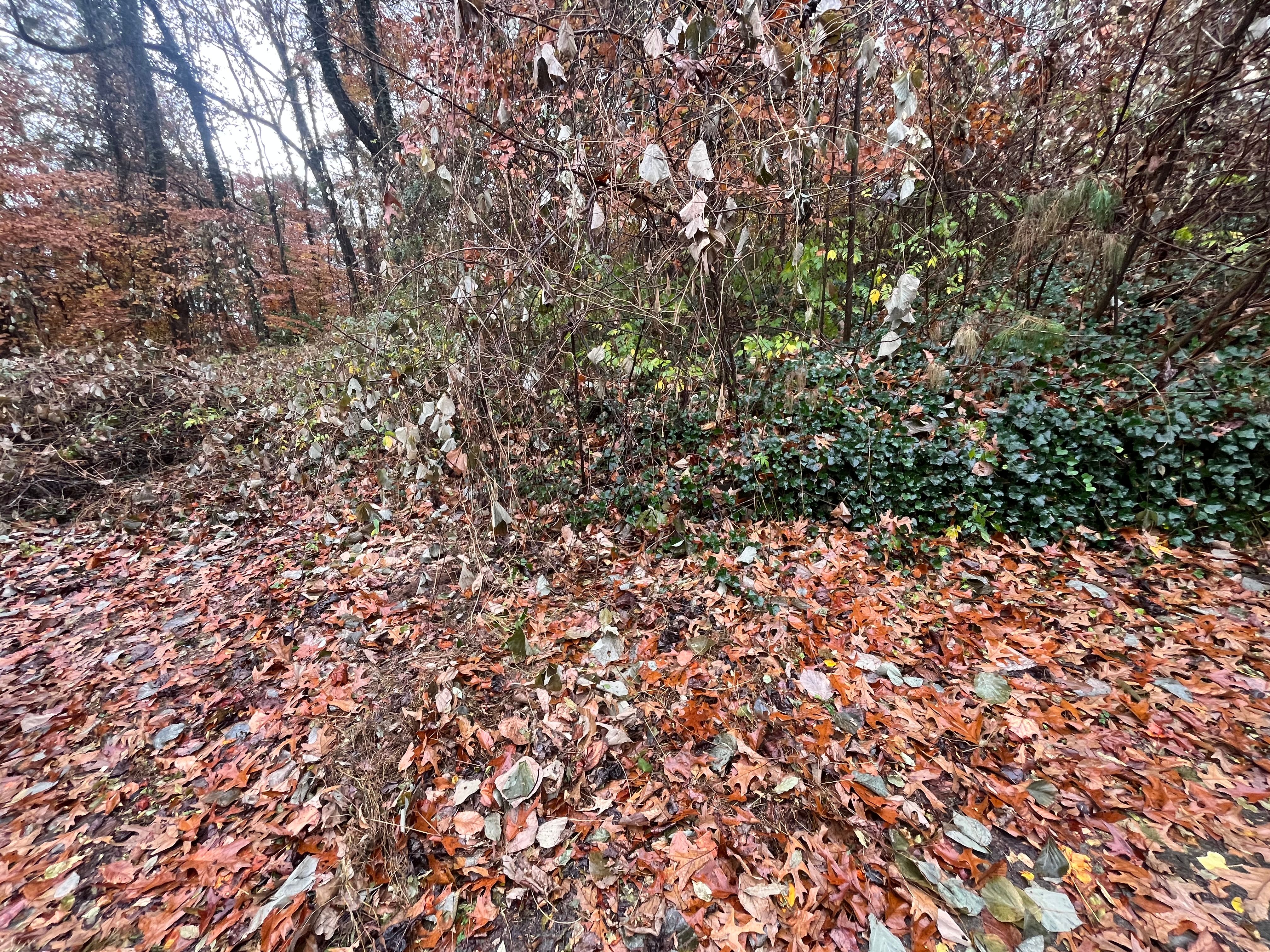  for Southern Solutions in Snellville, GA