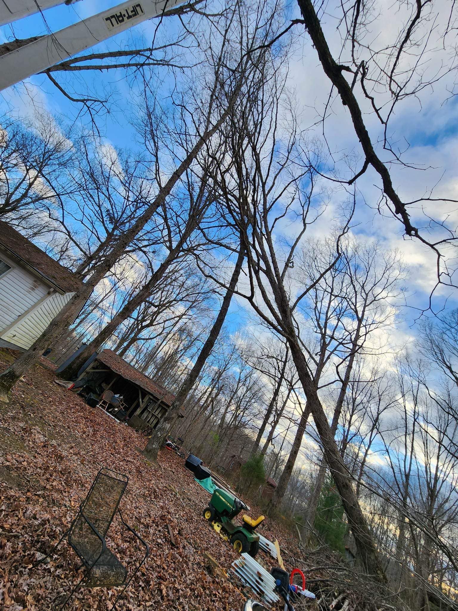  for Jace’s Tree & Stump Removal in Franklin, TN