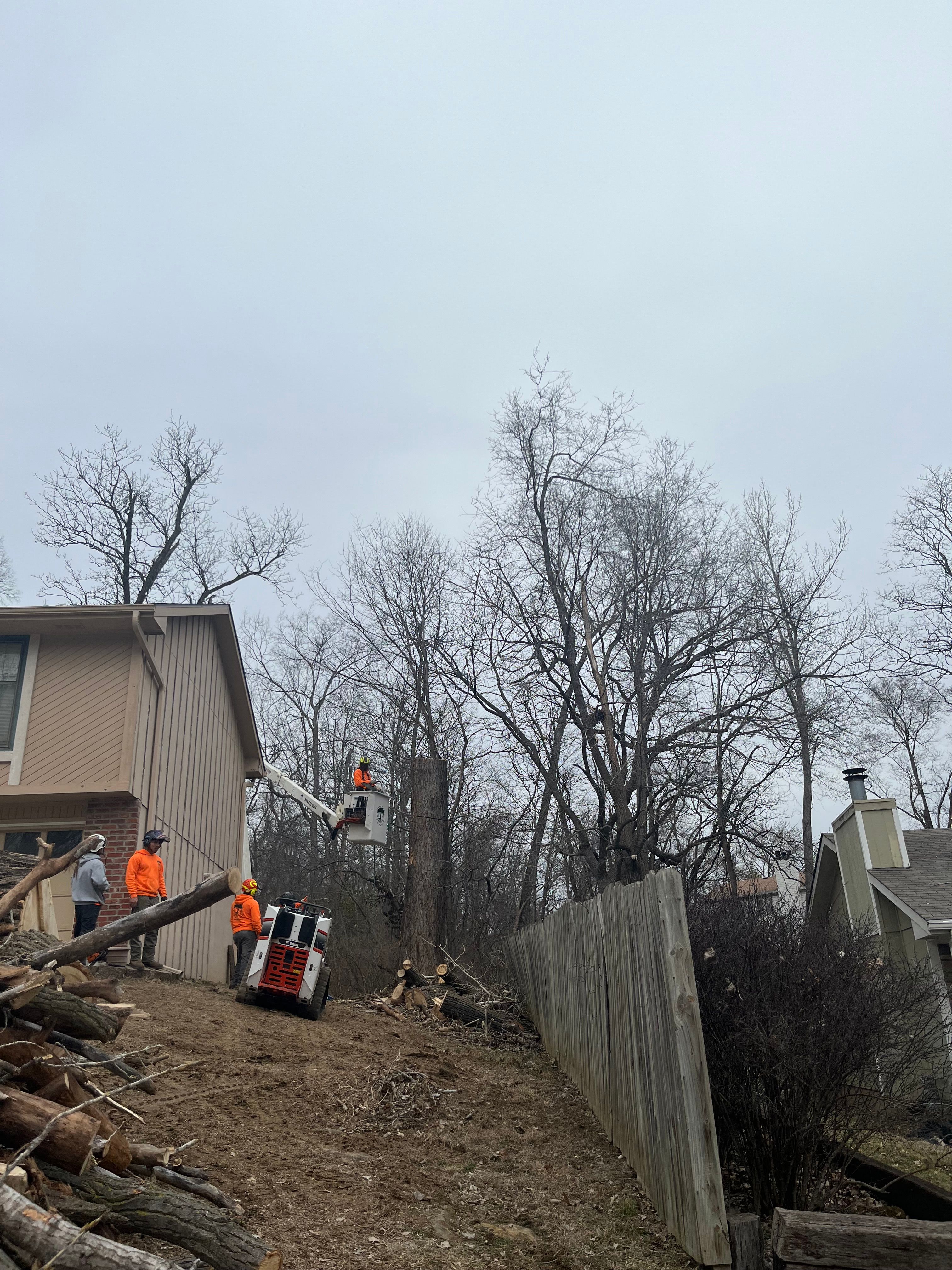 All Photos for Cross Family Tree Service in Kearney, MO