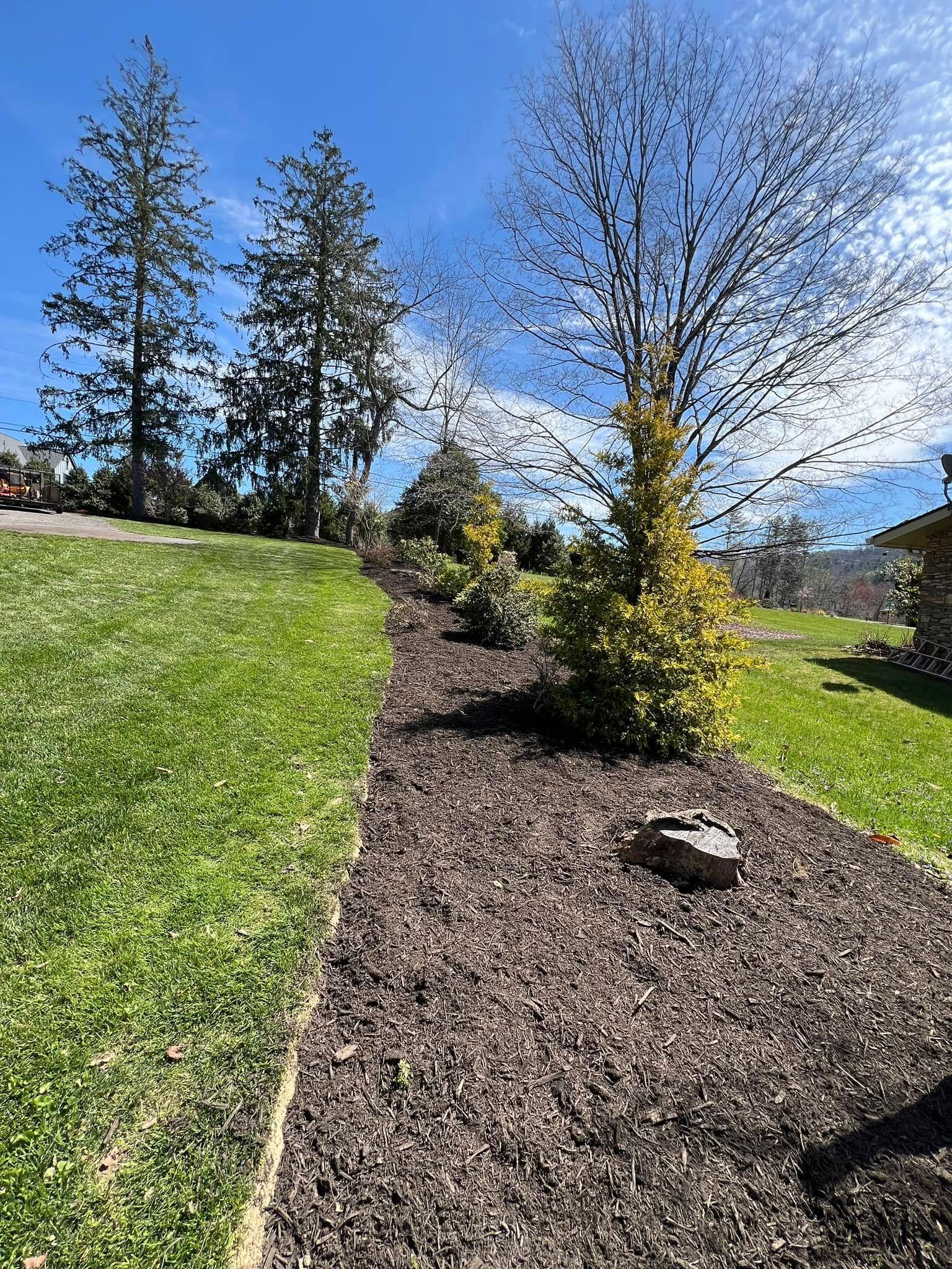 All Photos for SkyLimit LawnCare in Asheville, NC