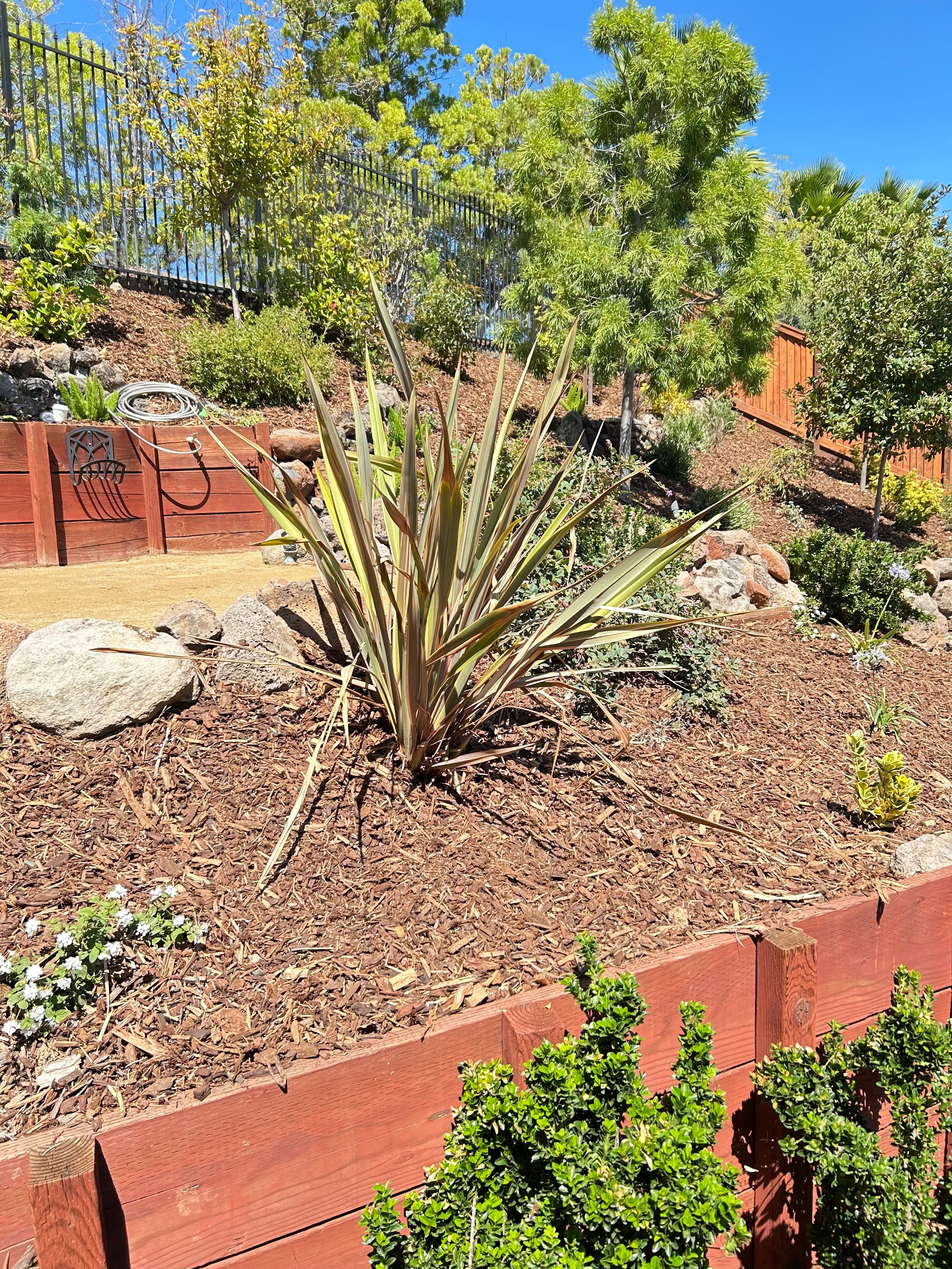 All Photos for LEBEC, Inc in Brentwood, CA