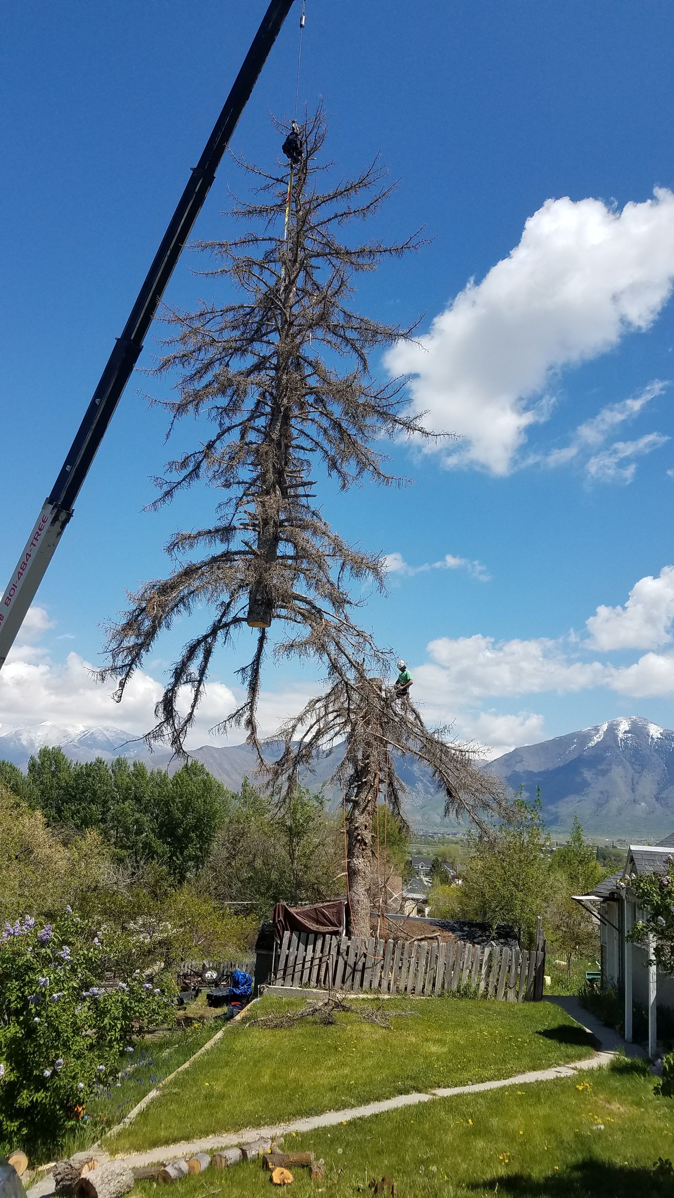  for Platinum Lawn Service in Santaquin, UT
