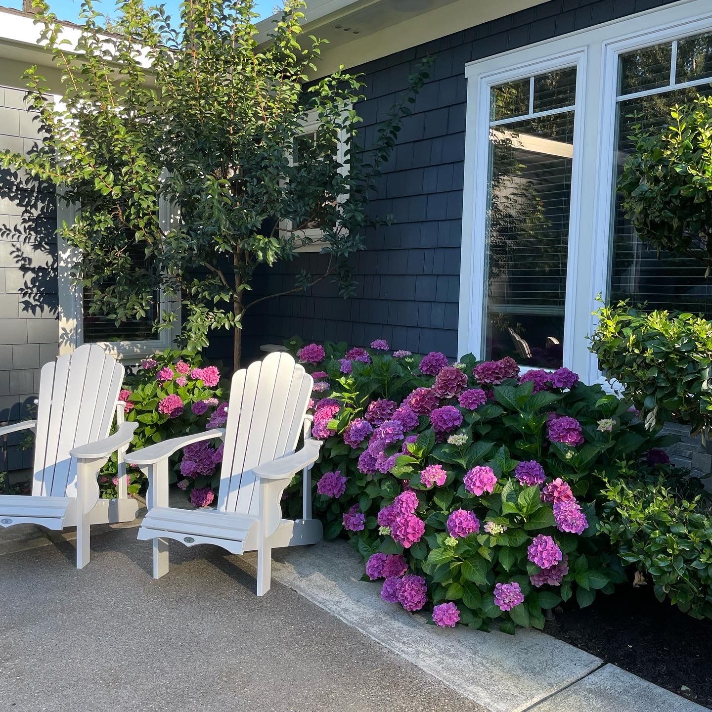  for Courtney Lewis Landscape Design in Portland, OR