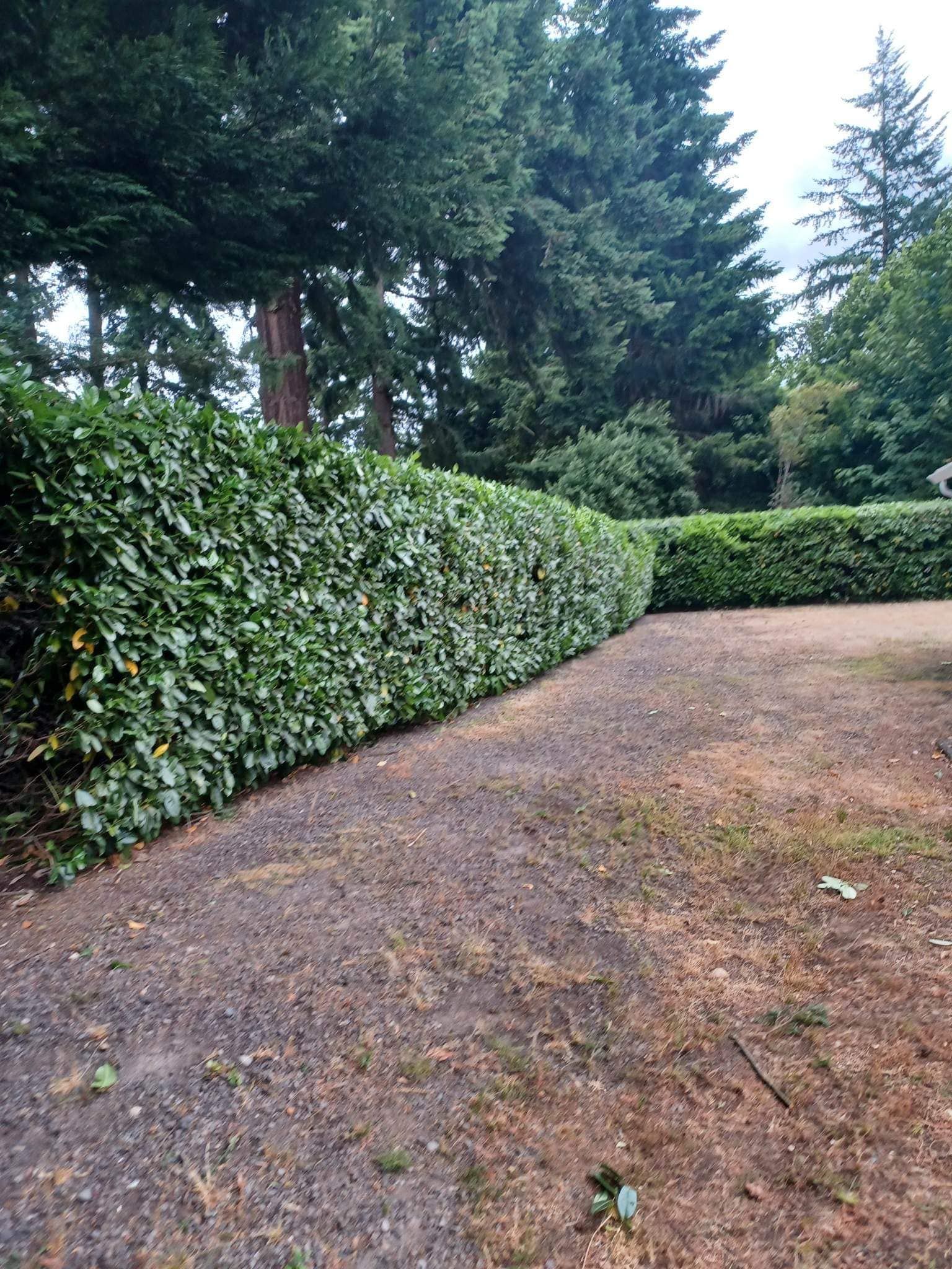  for Genluma Services Lawn Care in Vancouver, WA