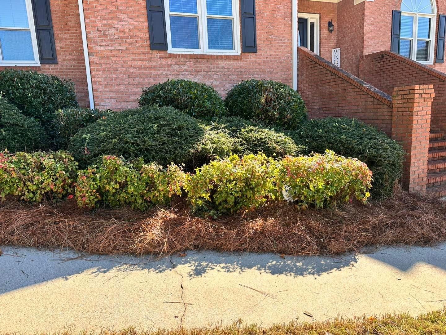  for Worsham Landscaping and Pressure Washing LLC in Social Circle, GA