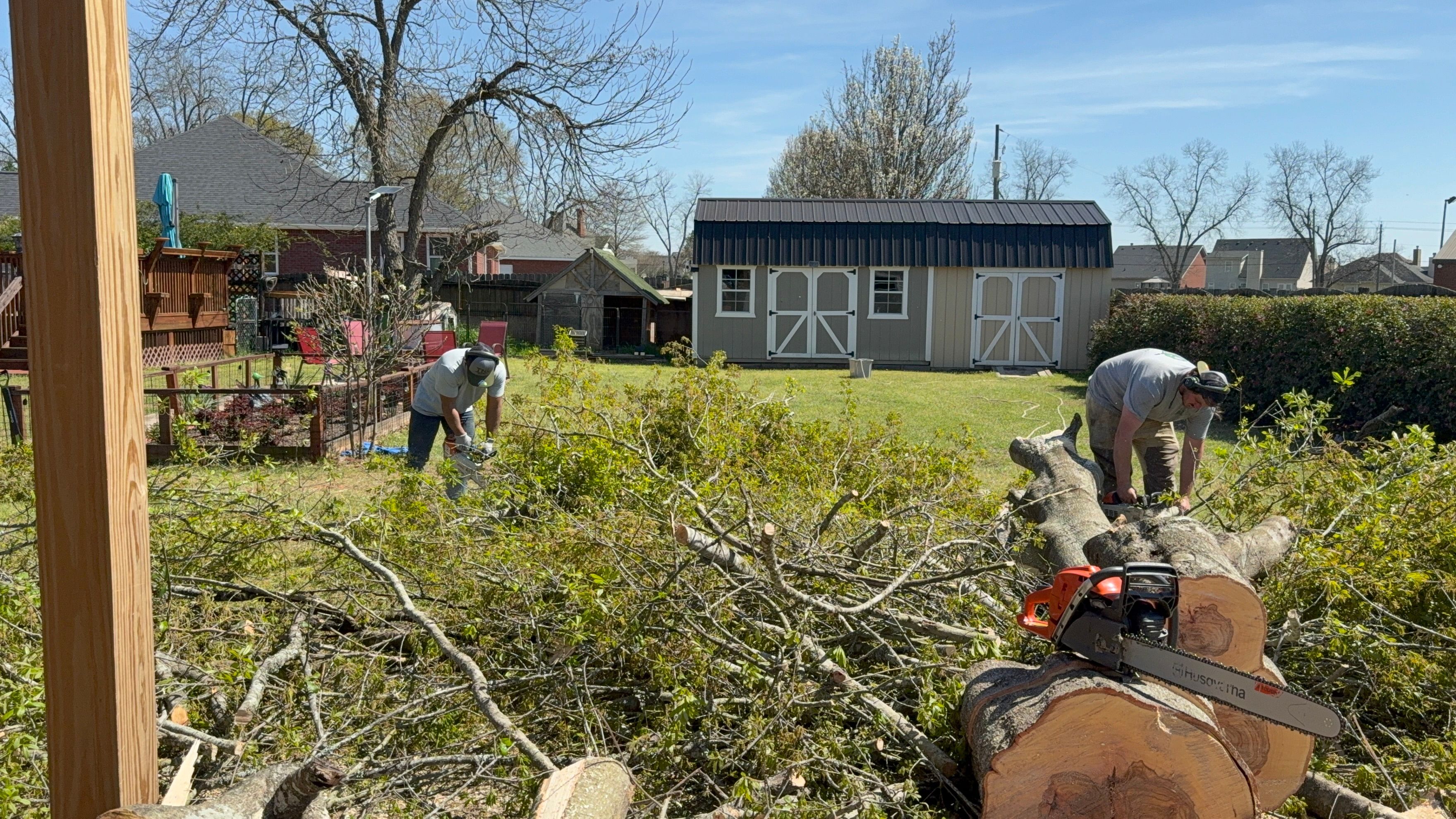  for T N L - Tree and Land Service in Reynolds, GA