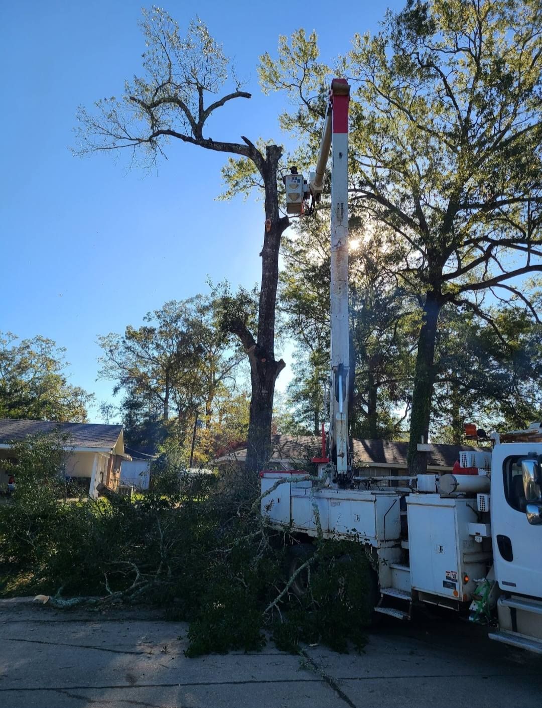  for Breaktime Tree Trimming & Removal in Oakdale, LA