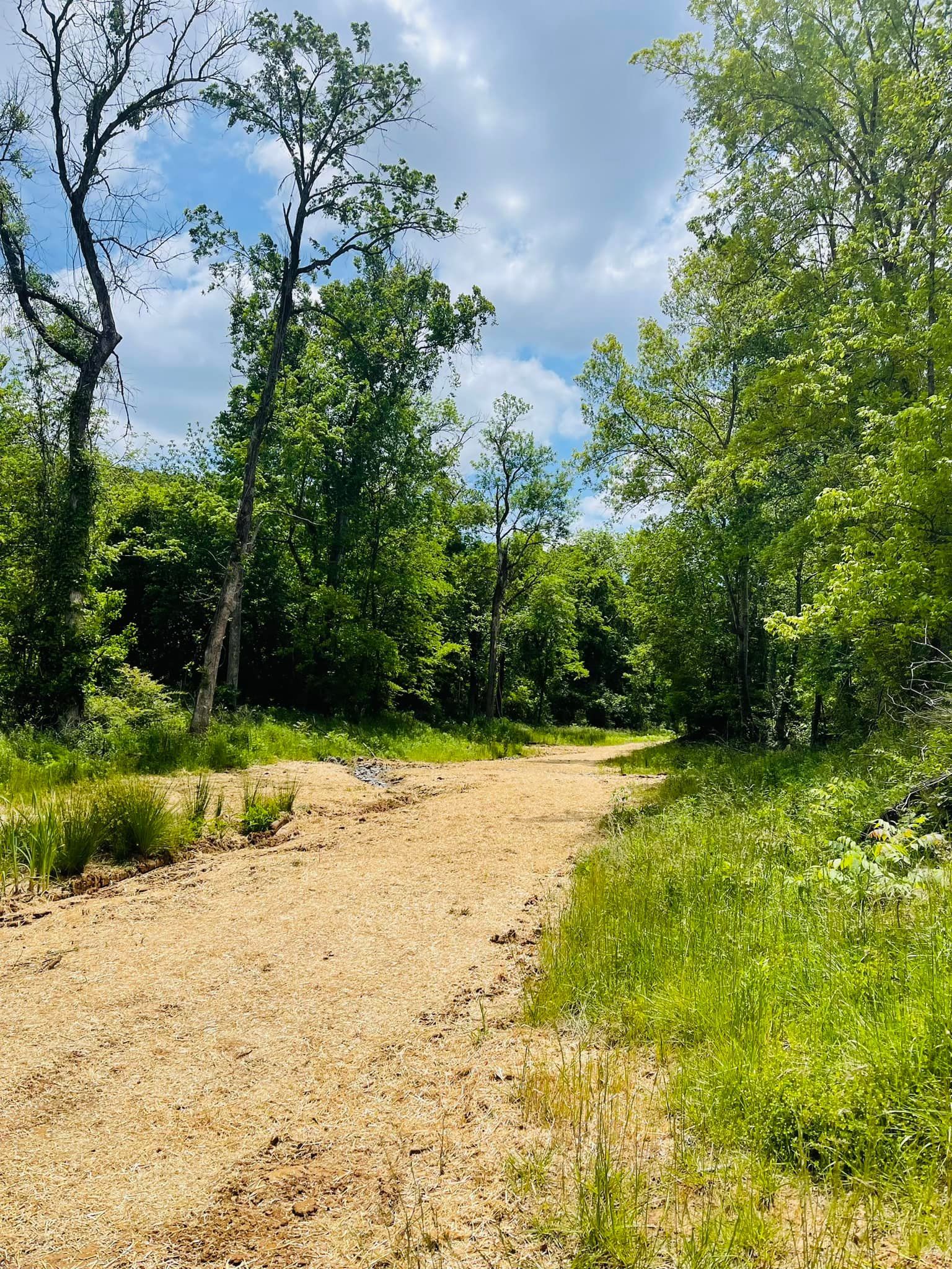  for Mountain Land Services LLC. in Oneida, TN
