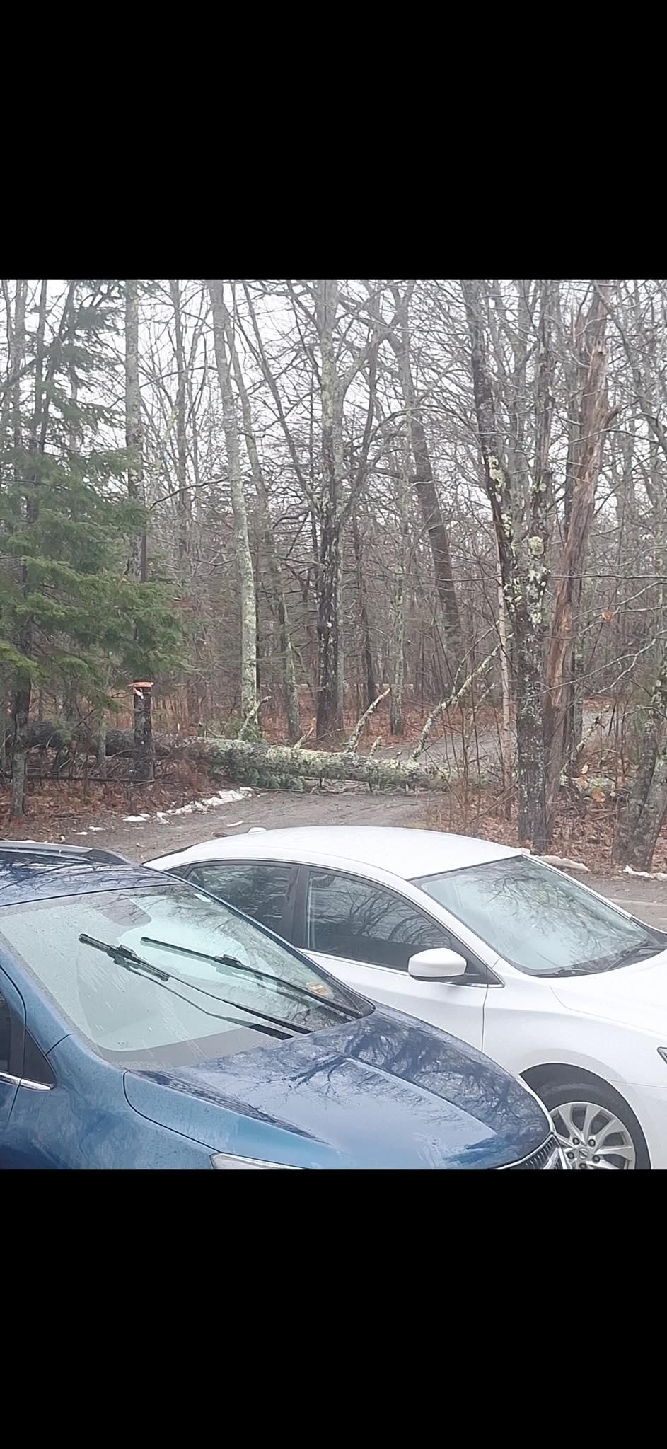  for 207 Seasonal Services  in Brewer, ME