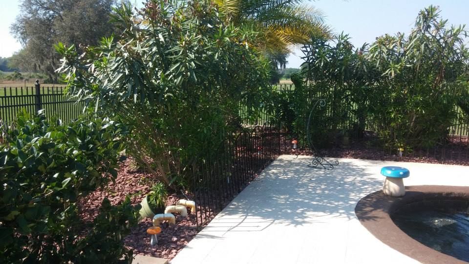 All Photos for Top Gun Lawn Care in Citrus County, FL