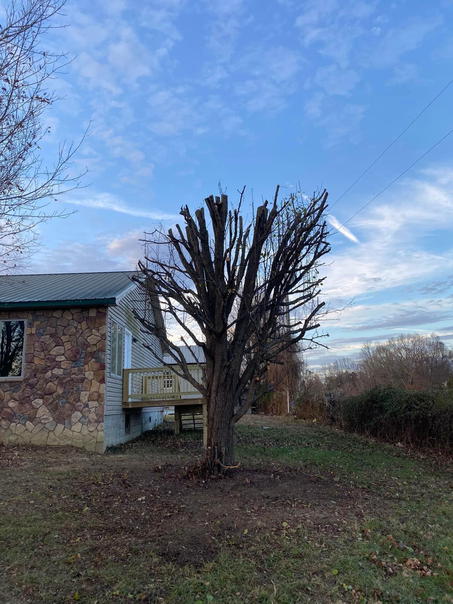 Tree Removal for Atwood’s Tree Care in Liberty,  KY