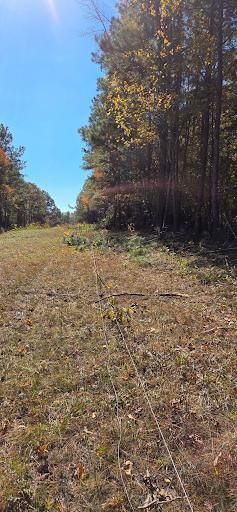  for Southern Stronghold Earthworks in Benson, NC