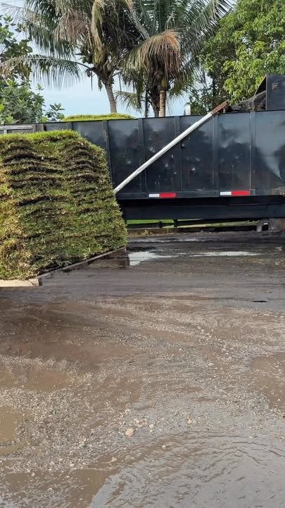  for Nurry Tree Services in Miami, FL
