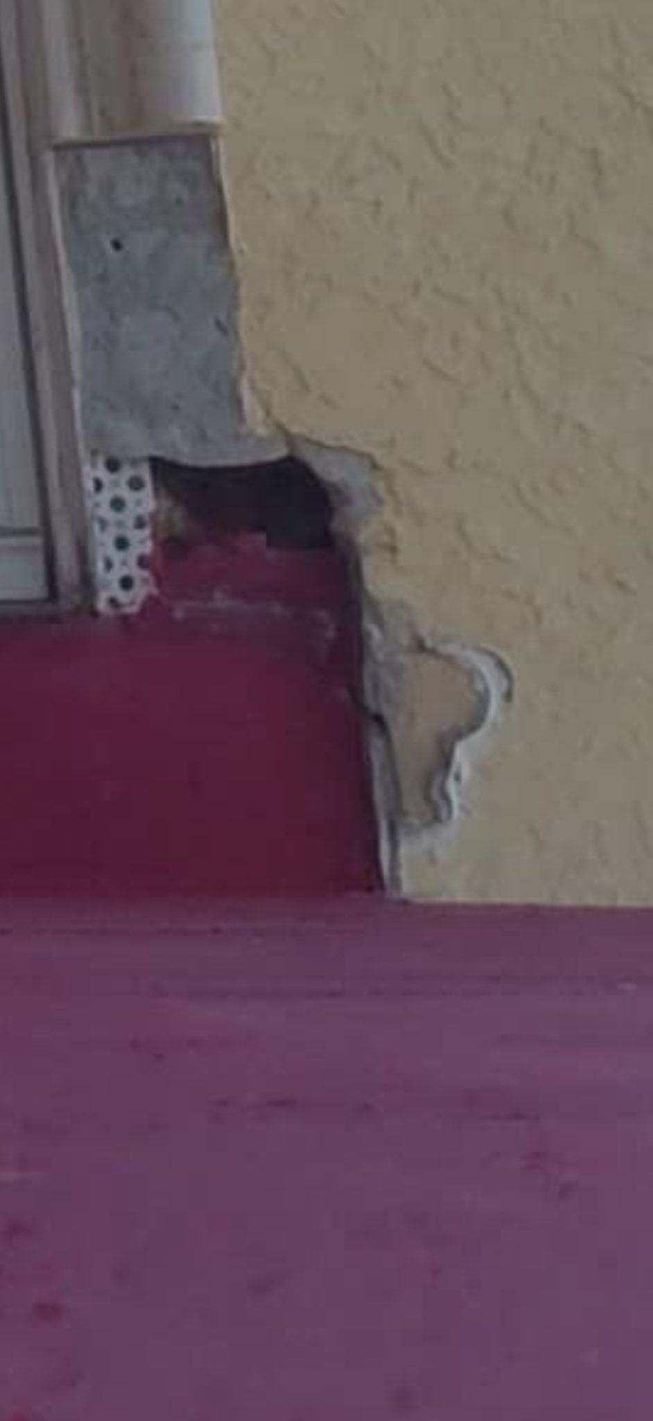  for Escorpio Painting in Tampa, FL