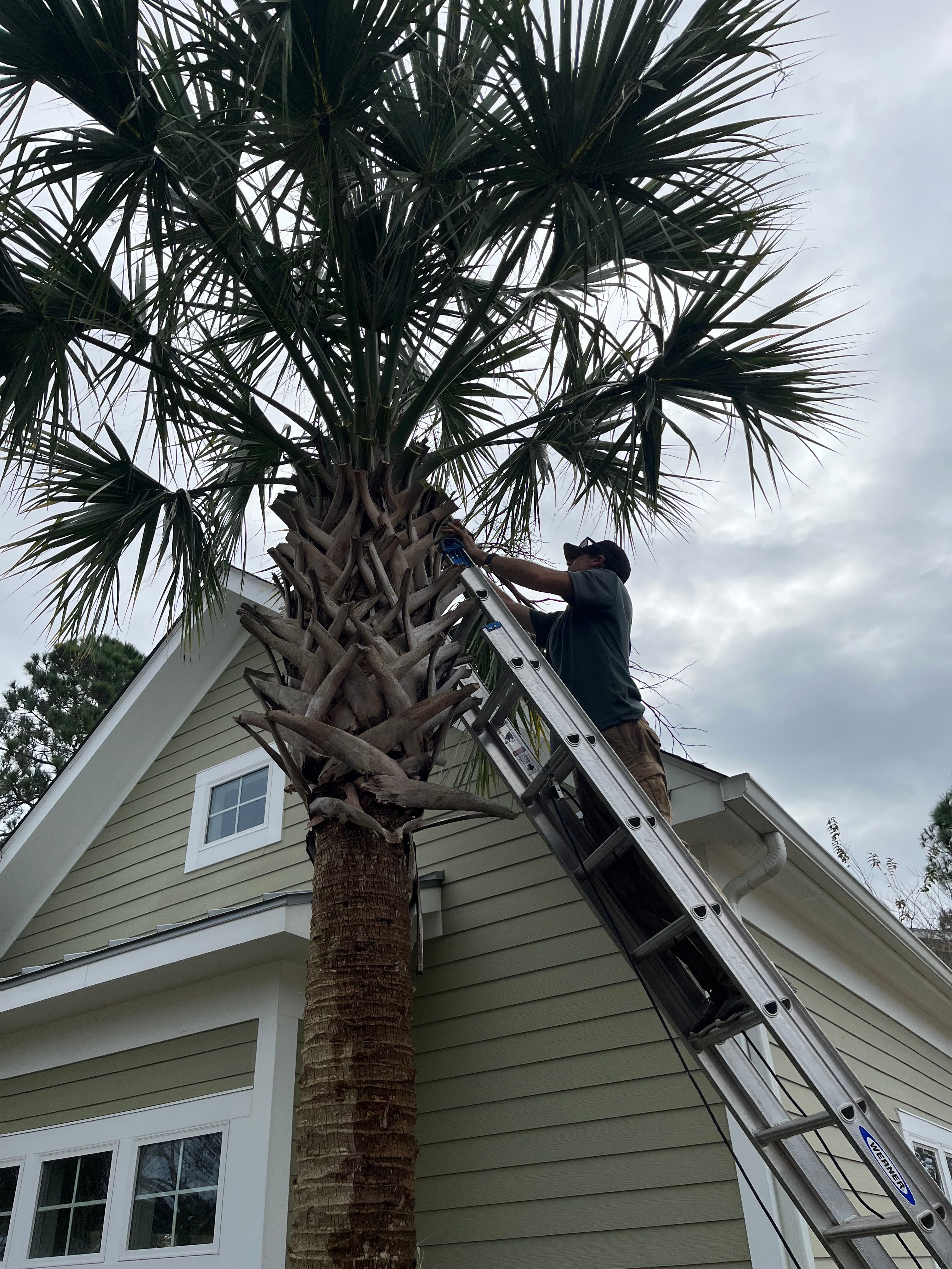  for New Creation Landscaping in Myrtle Beach, SC