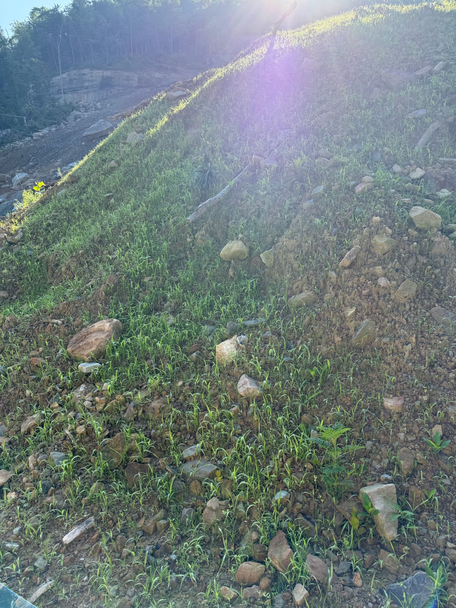  for Hale’s Hydroseeding in London, KY
