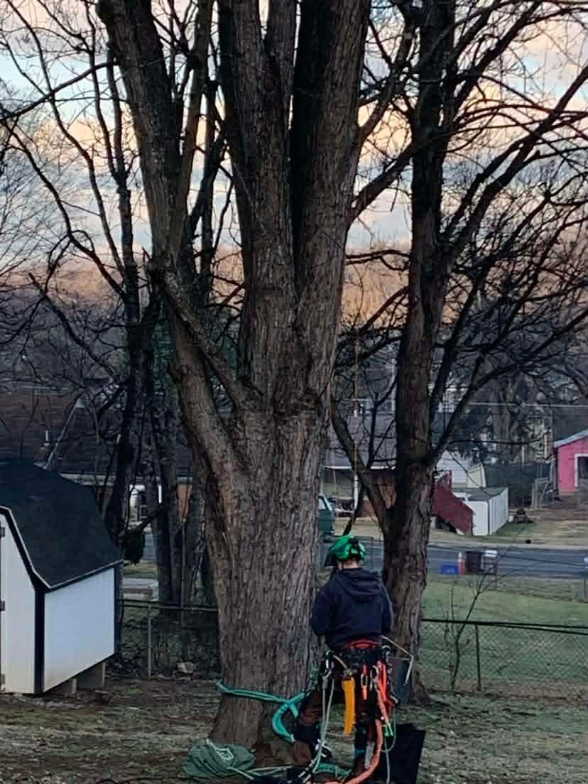 All Photos for VA Landgrowth LLC in Lexington, VA