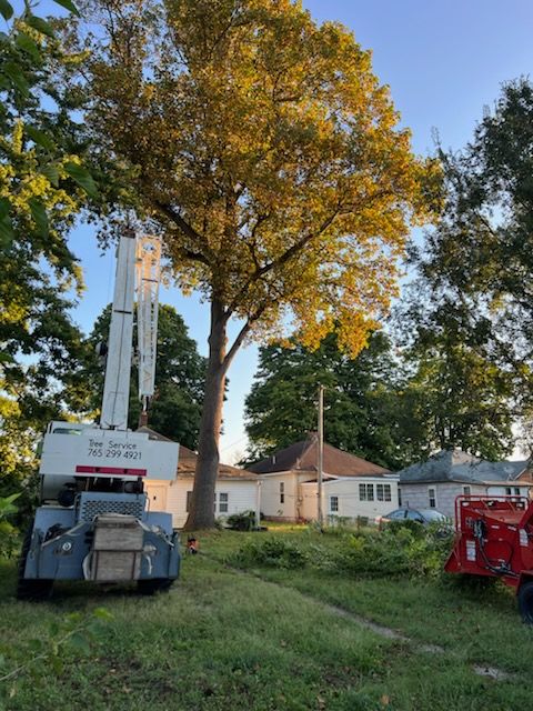  for Advanced Tree Solutions in Rockville, IN