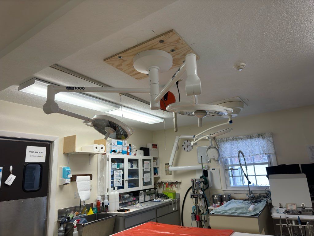  for DellAnno Electric LLC  in Wilmington, MA