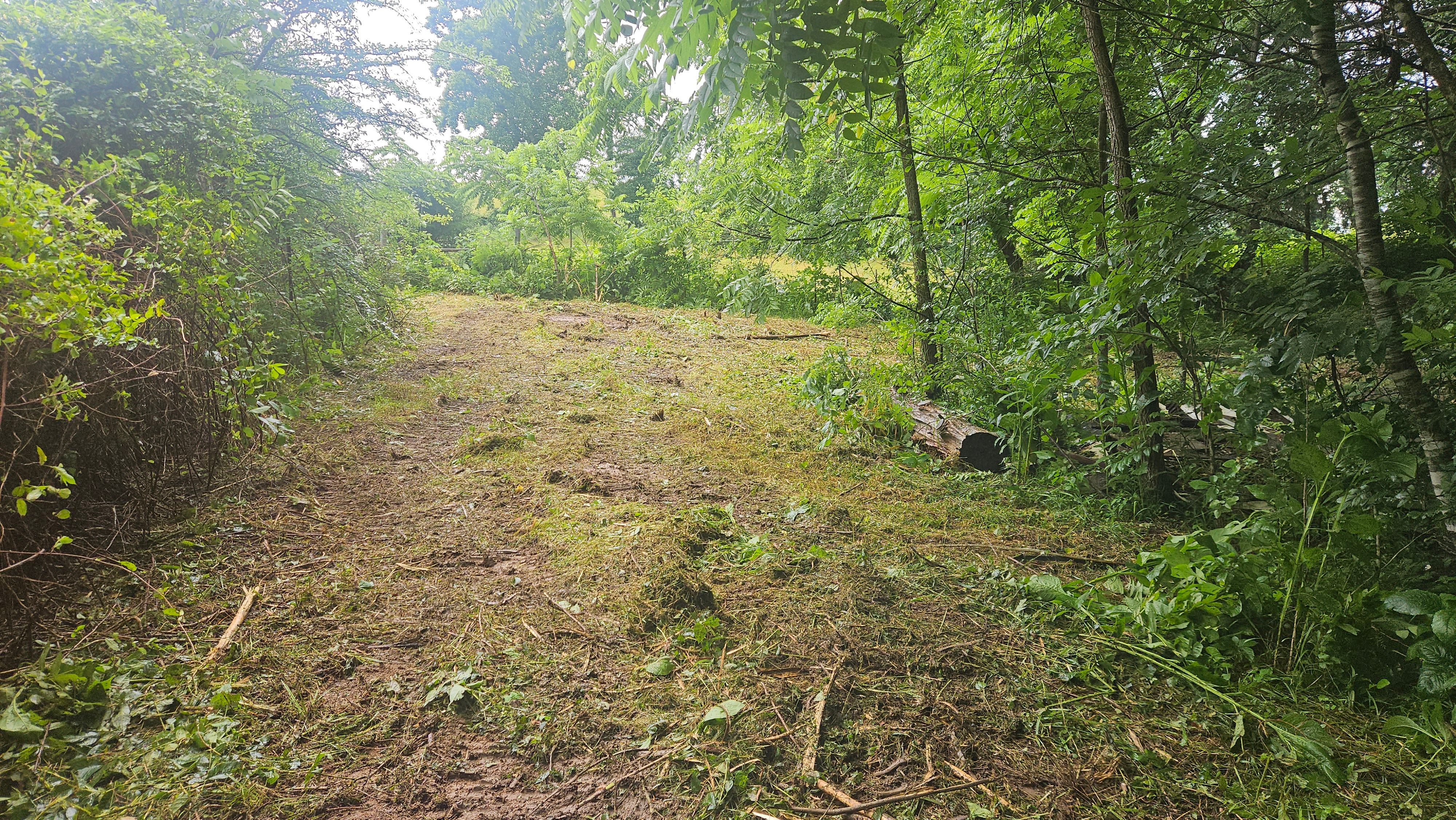 All Photos for B&B Land Management in Jamestown, TN