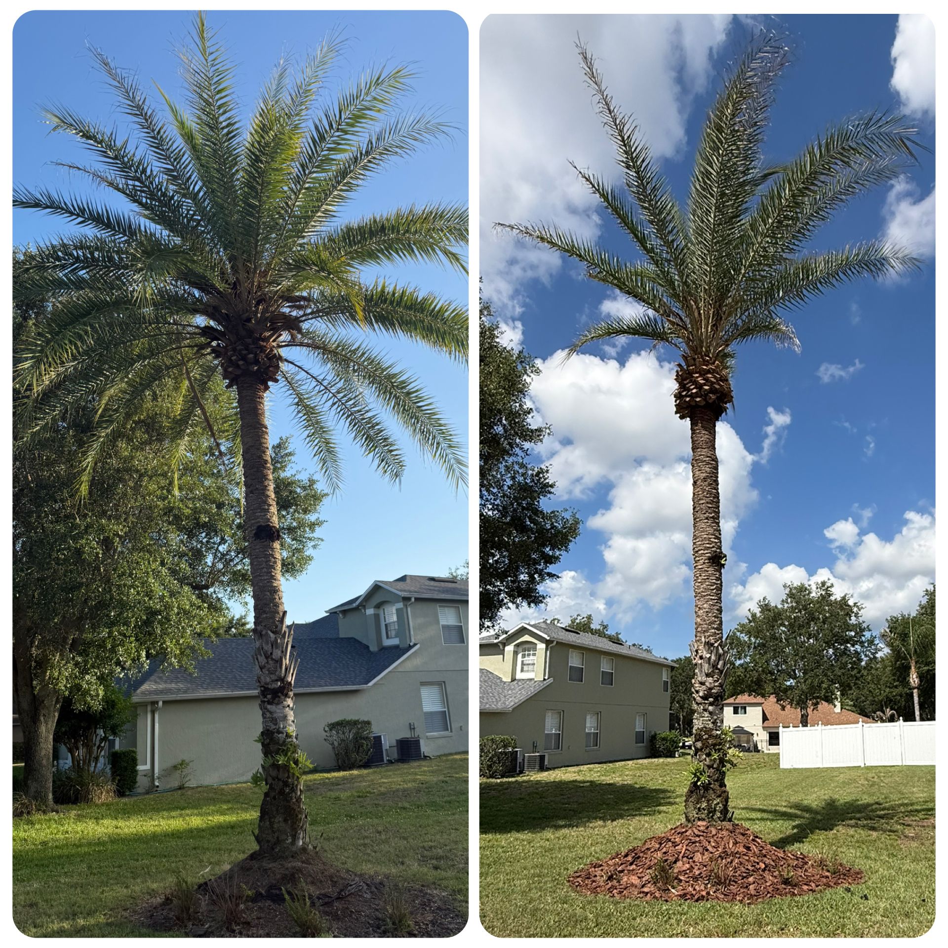 for Amerigrown Tree And Lawn in Apopka, FL