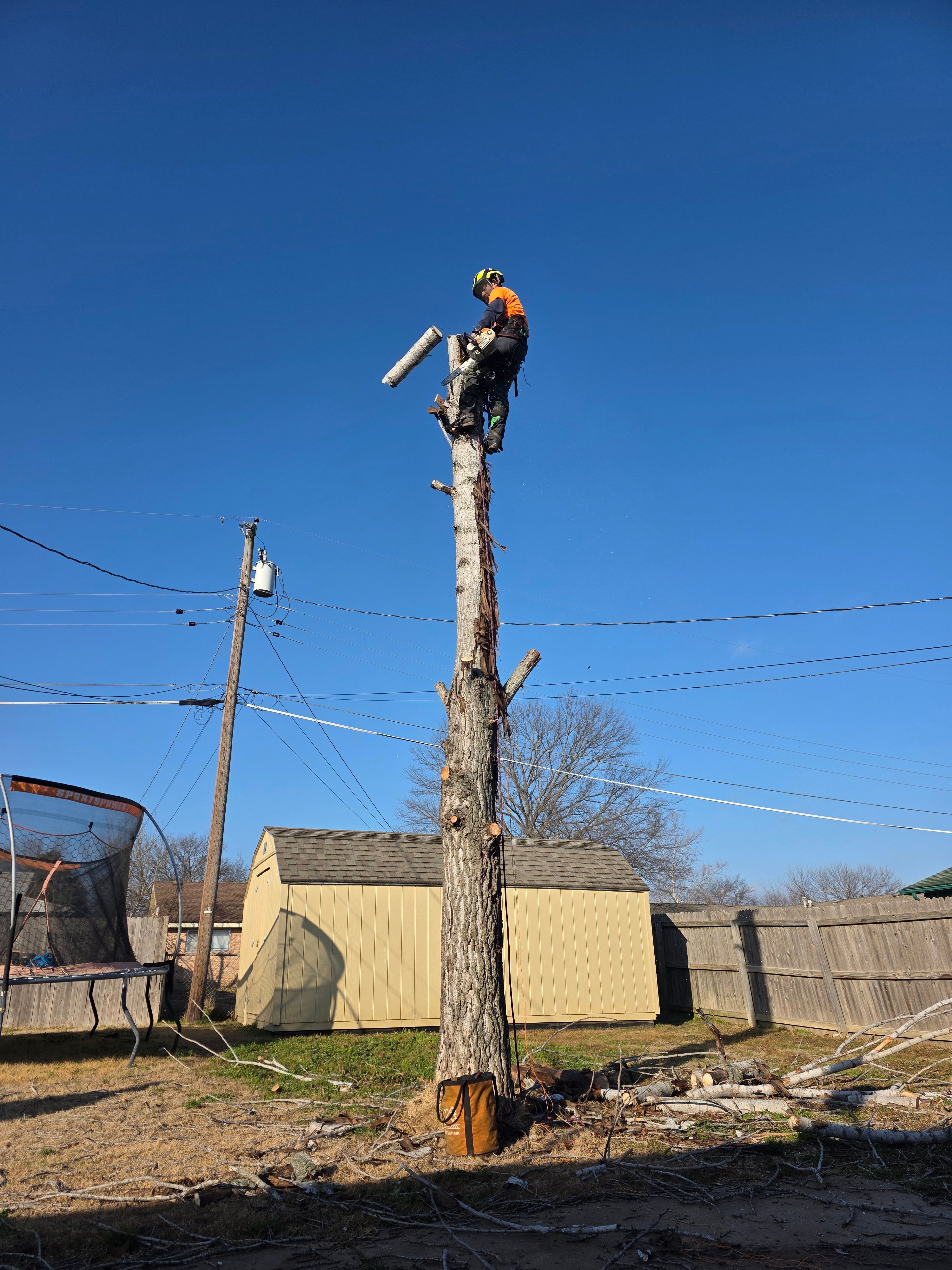  for Oklahoma Tree Guy in Bartlesville, OK