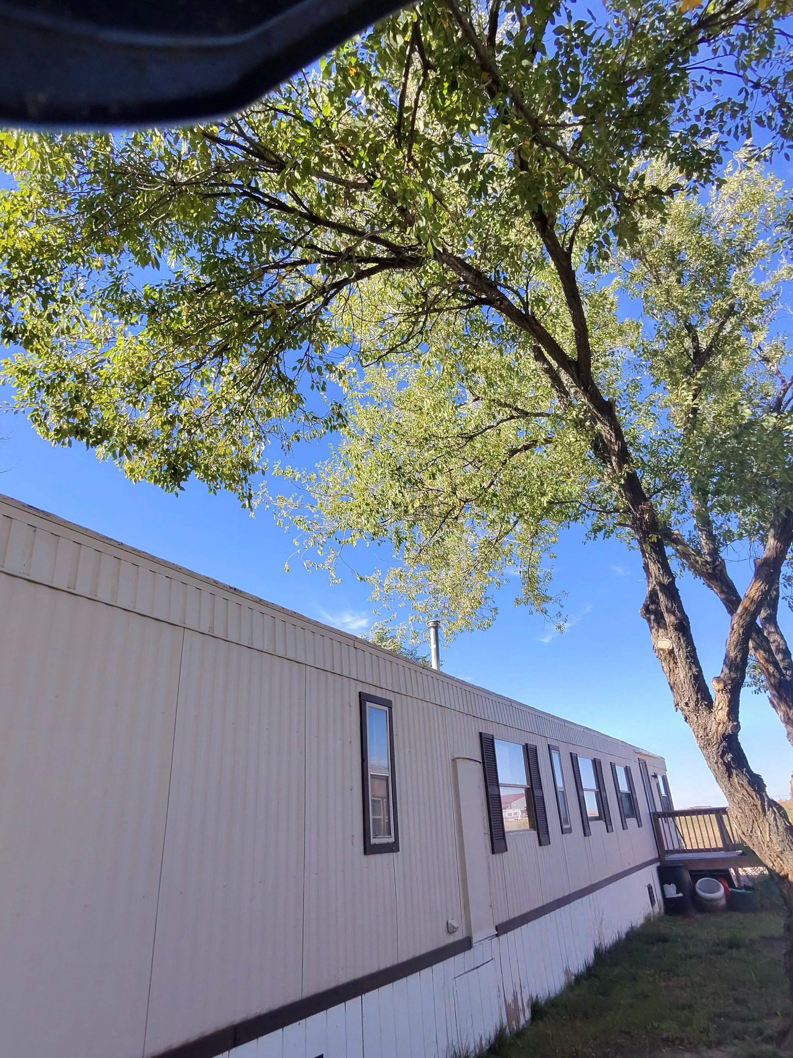  for Elevated Tree Care in Gillette, WY