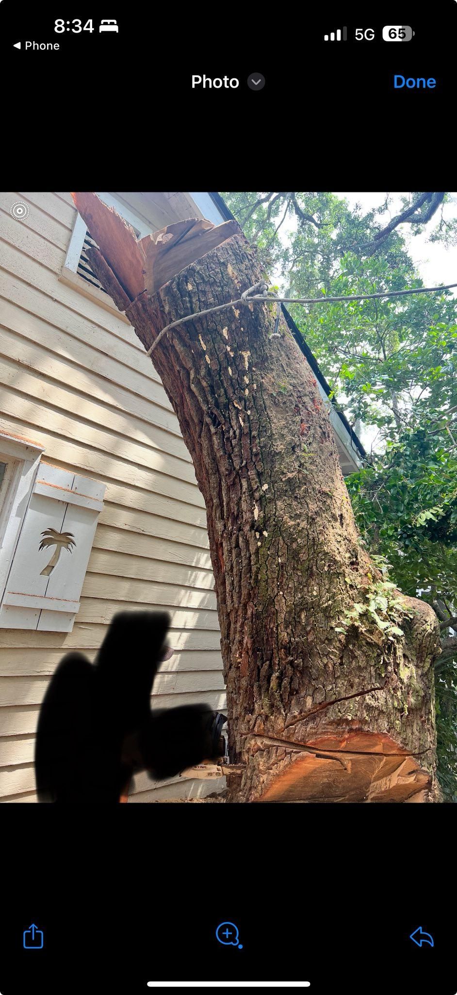 All Photos for Hawkins Tree Service & Land Management in Richmond Hill, GA