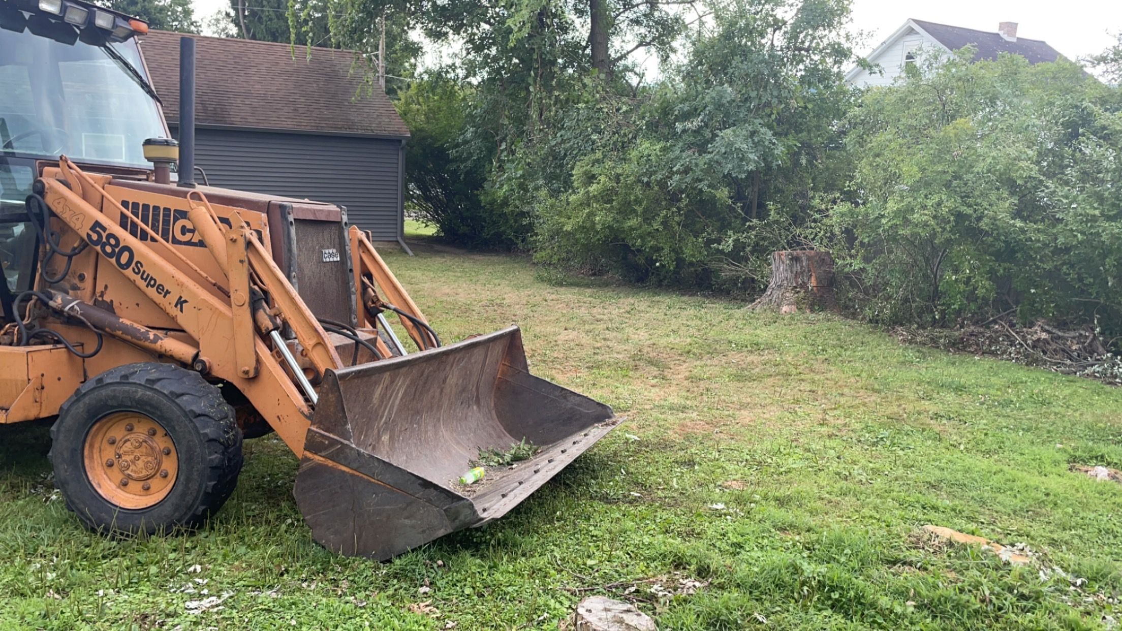 Tree Removal for Benjamin & Sons in Elmira, NY