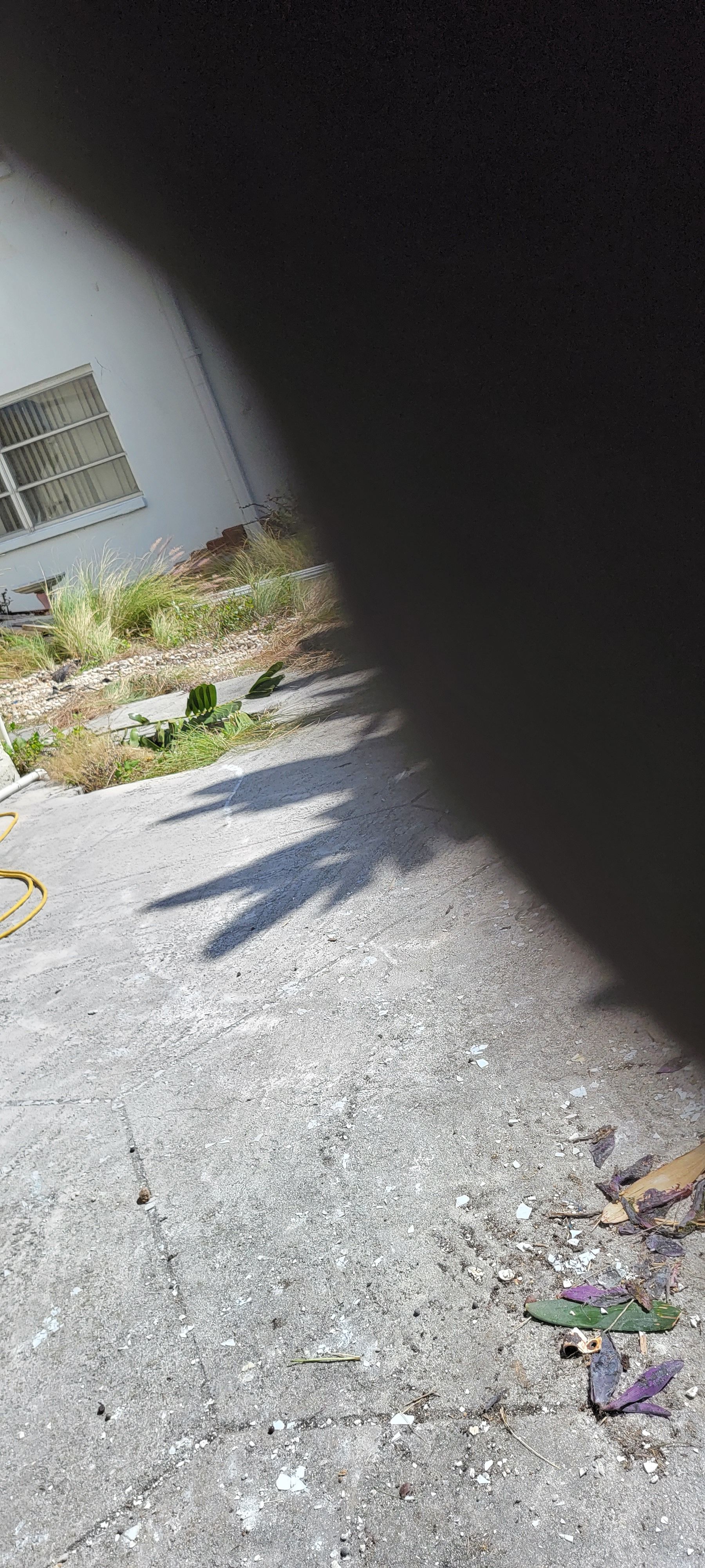  for Millenium Construction & Property Management in Tampa, FL