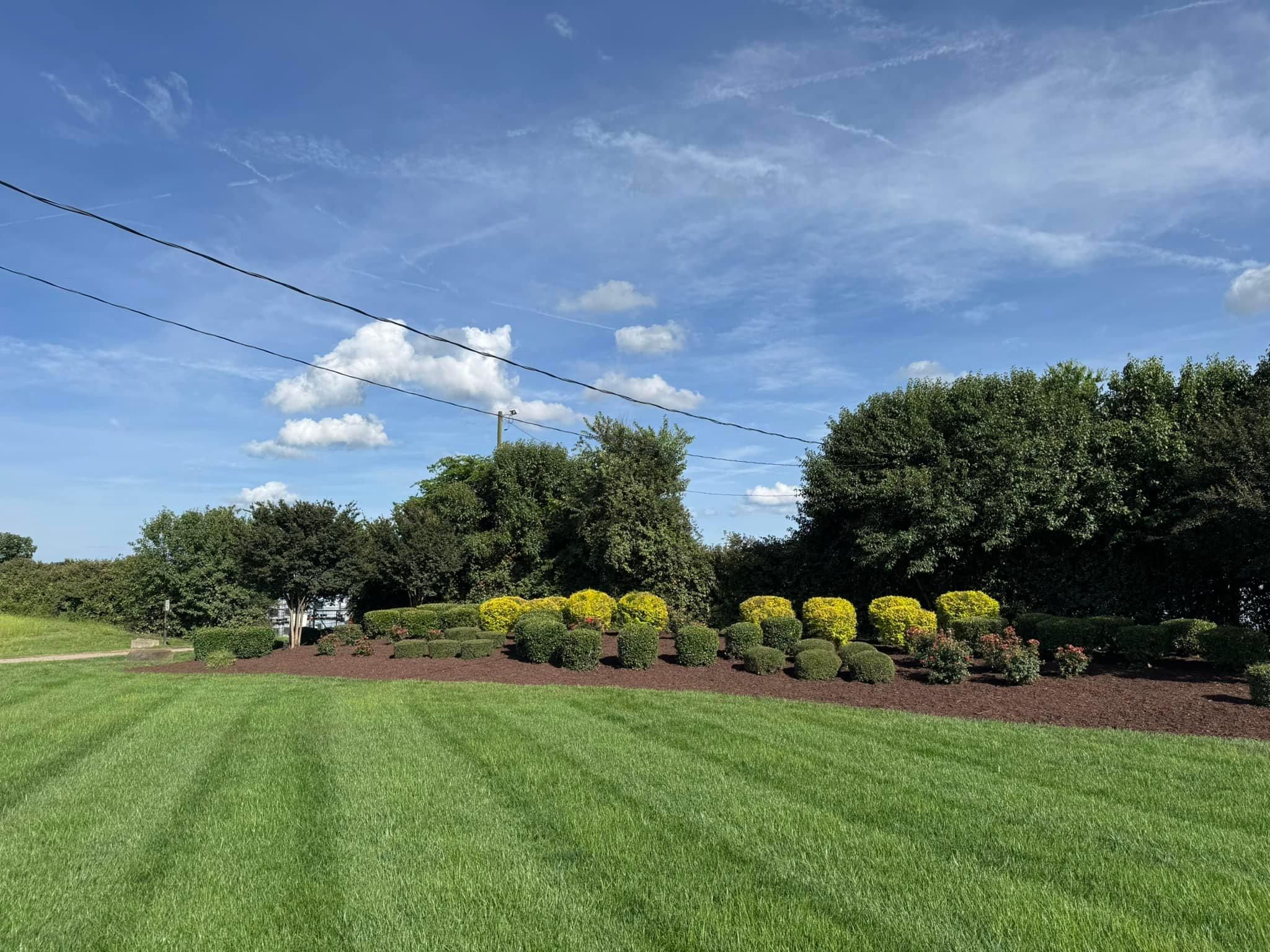  for Southern Turf & Landscape in Concord, NC