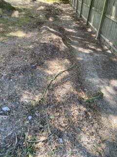  for Turtle's Haul-Away & Junk Removal in Stevensville, MD