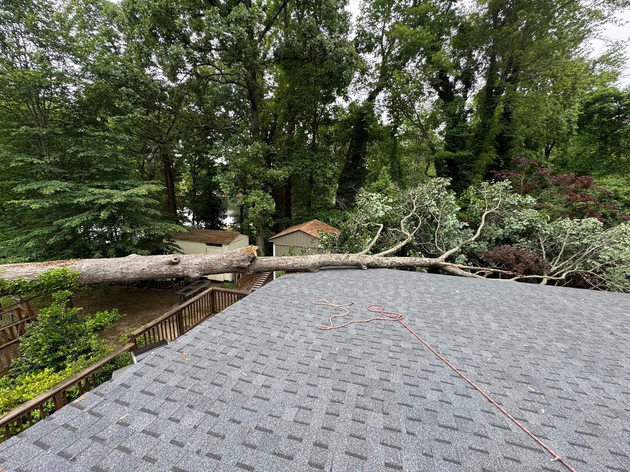 All Photos for Meade tree service in Greensboro, NC