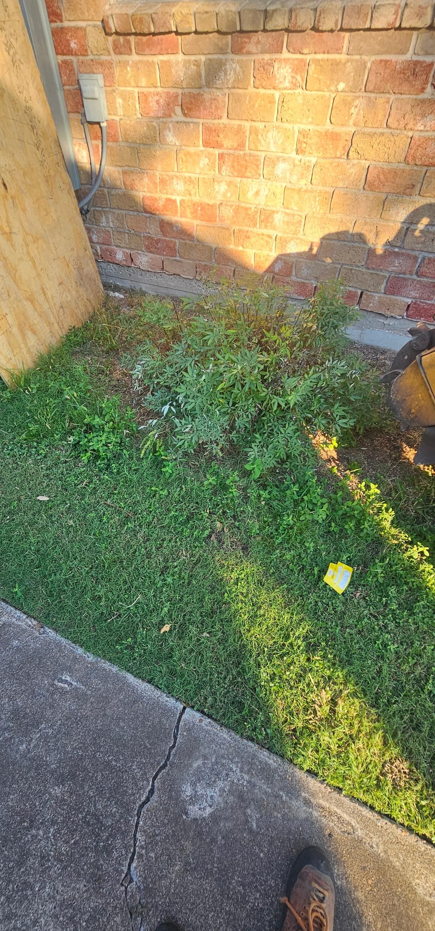  for Servin's Tree Care  in Houston, TX