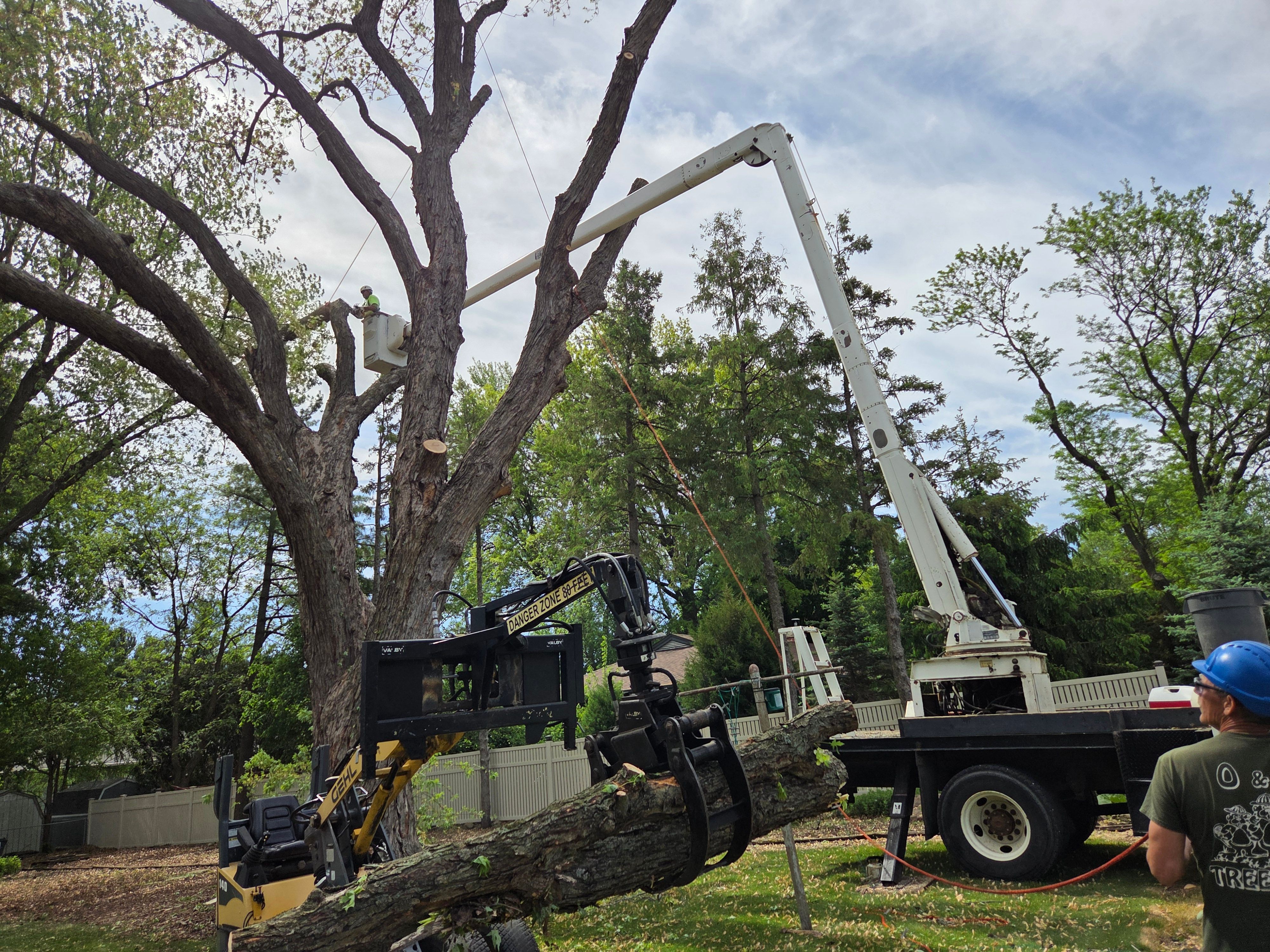 All Photos for O&O Tree Service in Rockford, IL