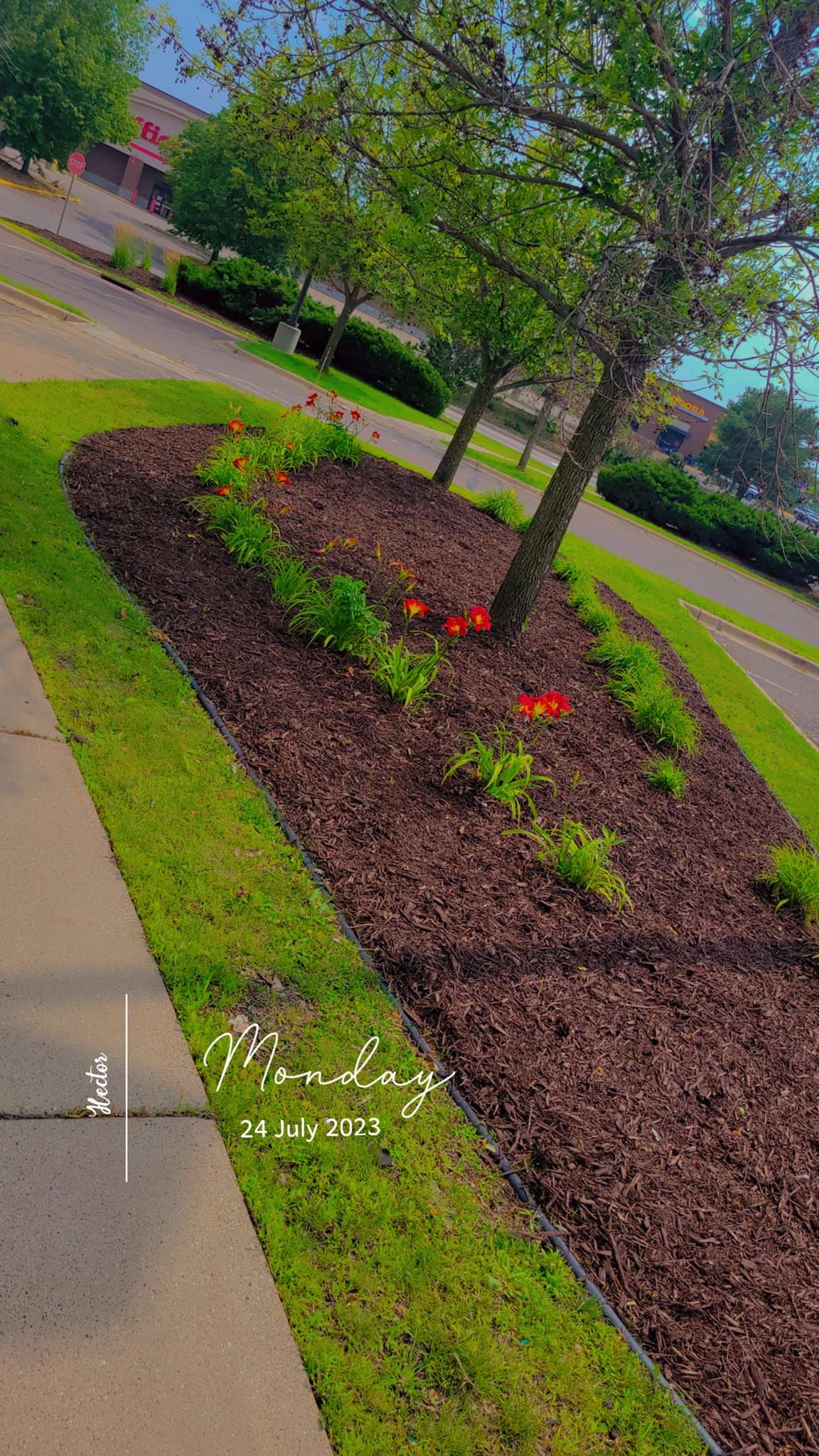  for Urban Green Lawncare & Snow Removal in Lakeville, MN