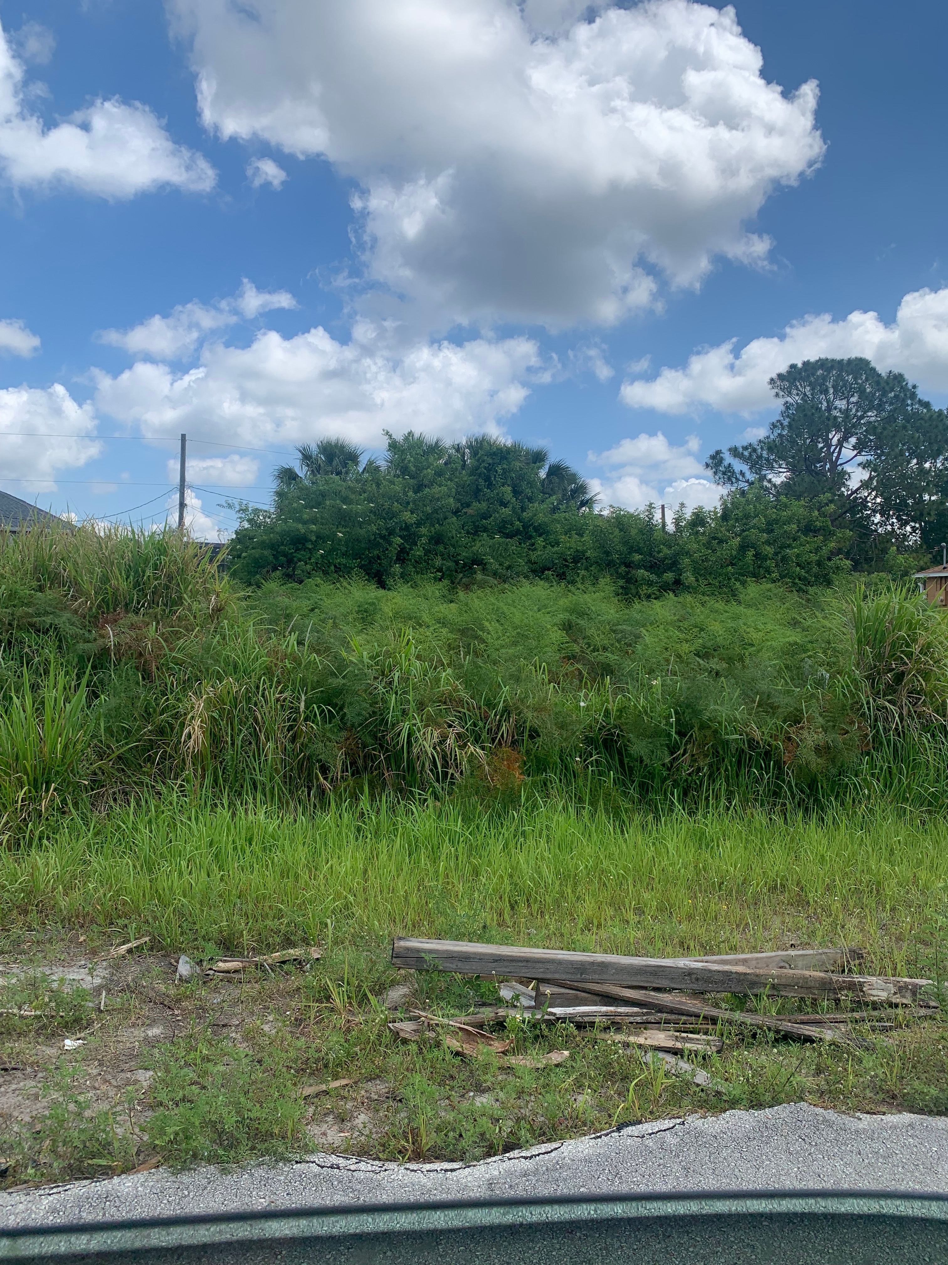  for Space Coast Property Maintenance and Management LLC in Melbourne, FL