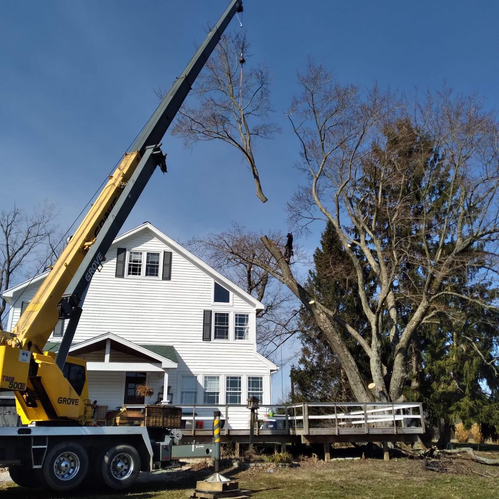  for Anstaetts Tree Service in Batavia, OH