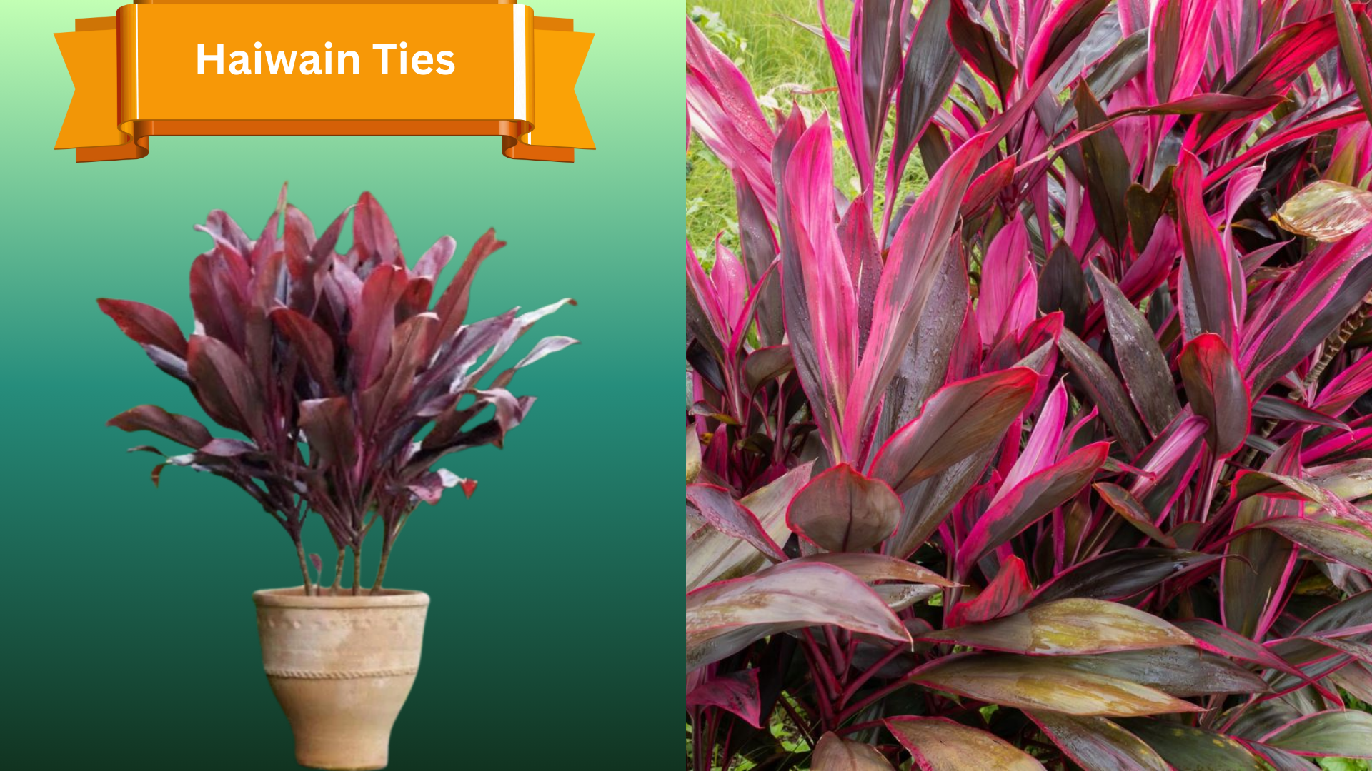  for R.B. & Company in Belleview, FL