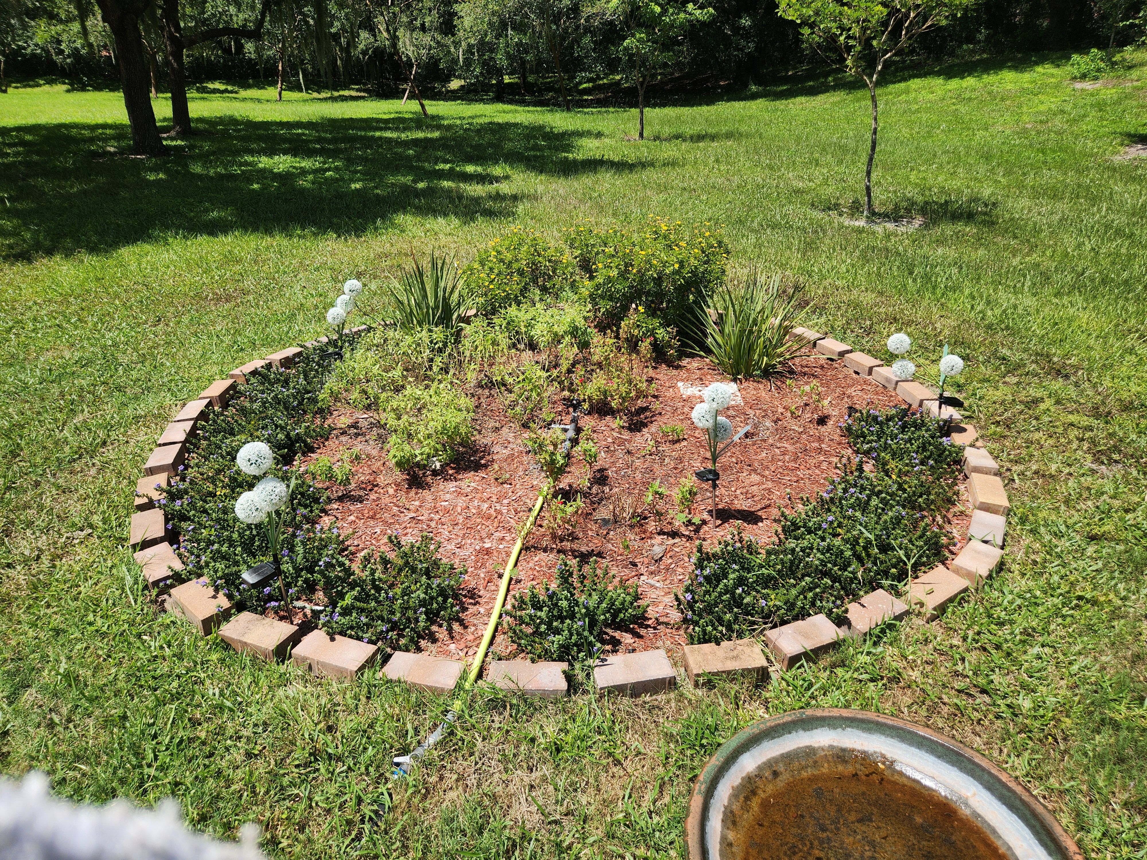  for Nate the Garden Guru in Orlando, FL