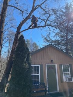  for Cisco Kid Tree Service LLC in Charlotte, North Carolina