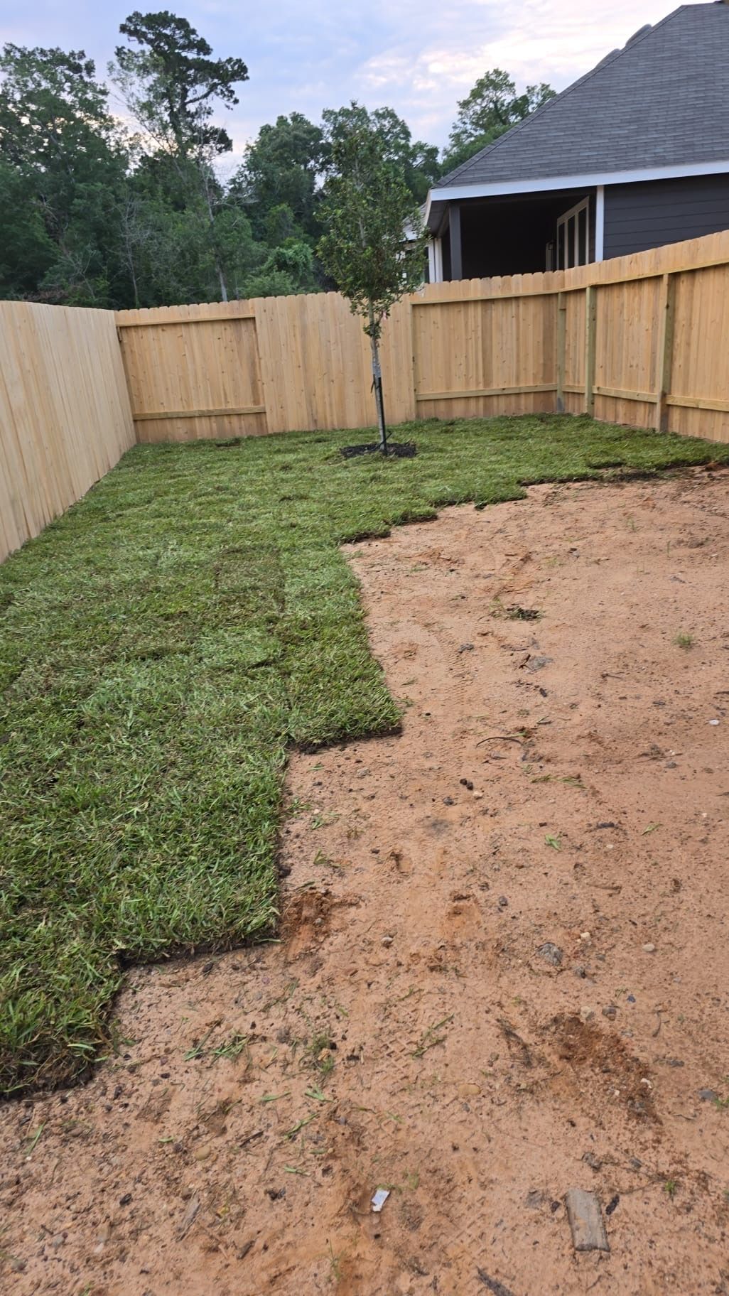 Sod for Silver Mines Landscape & Construction, LLC. in Houston, TX