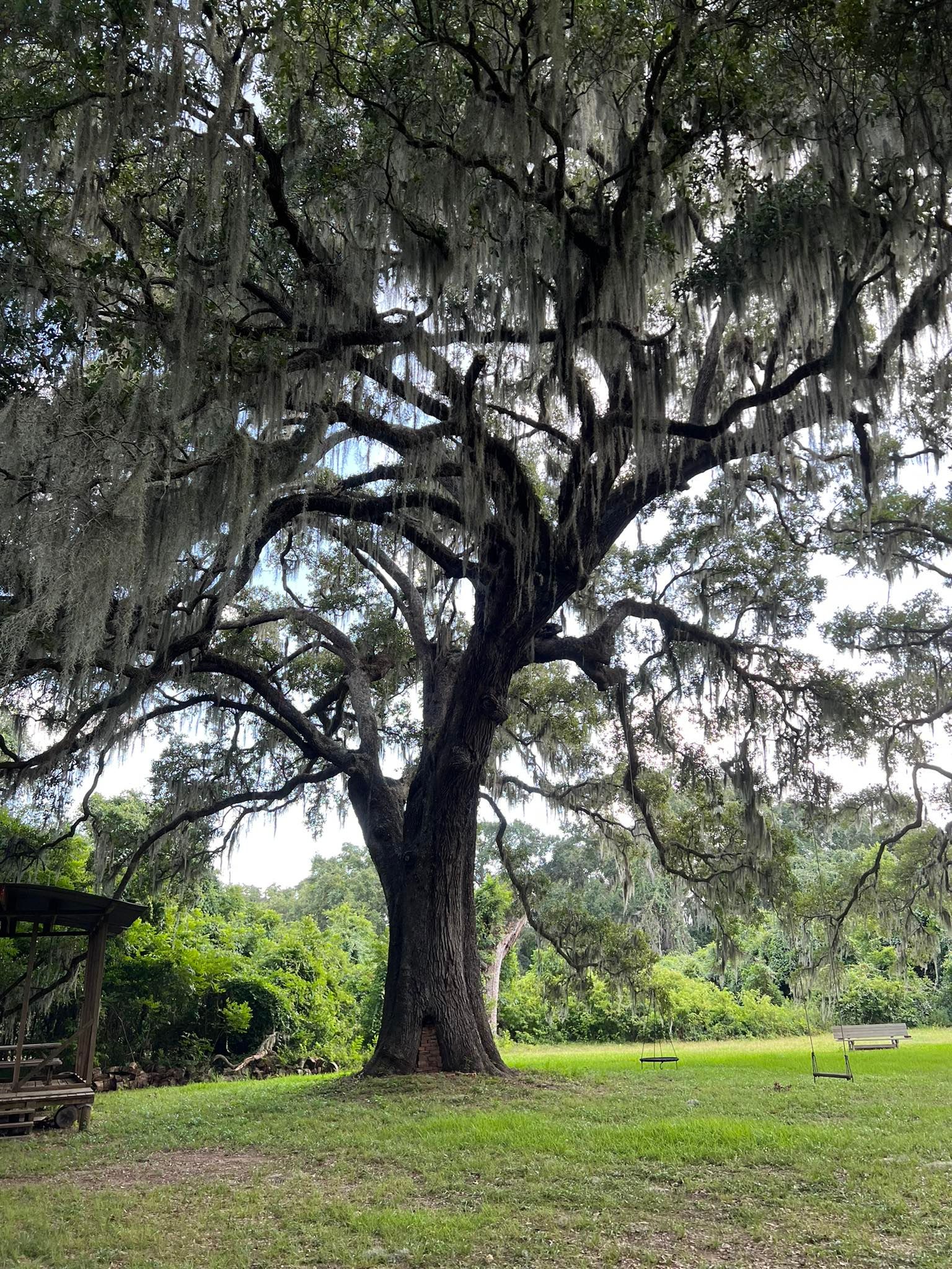  for Victor TREE Service INC. in Katy, TX