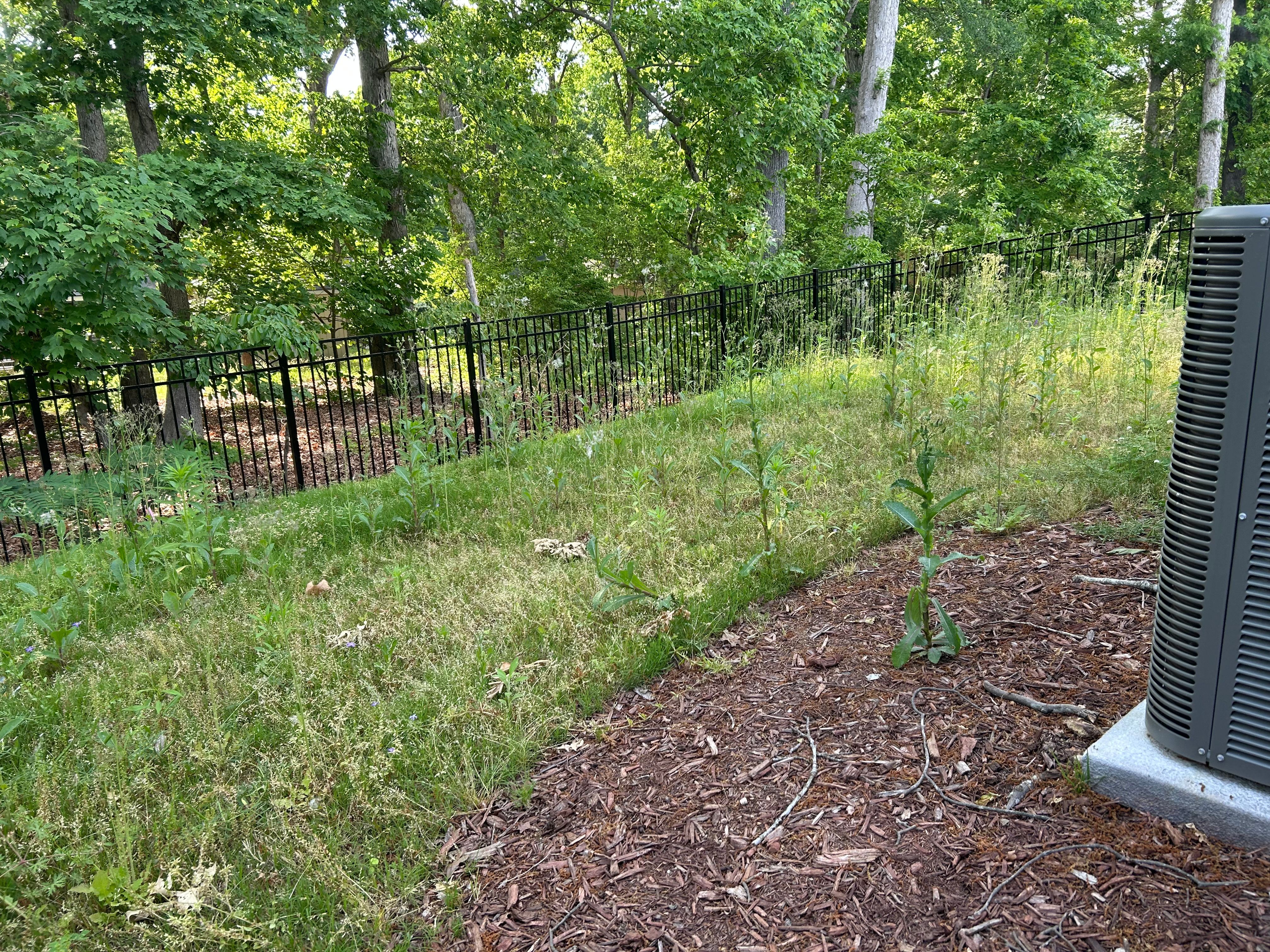  for Everett Lawn Care in Raleigh, NC