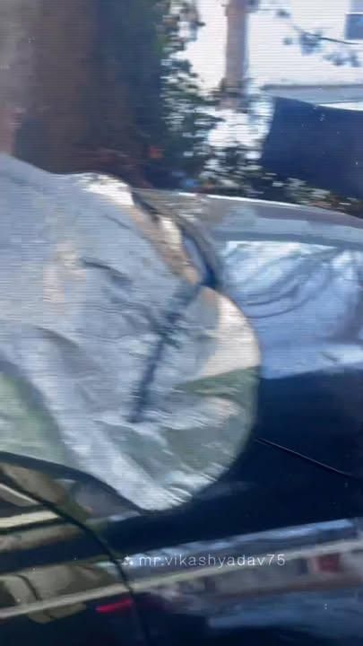 All Photos for Real Deal Lawn Care in Goodlettsville, TN