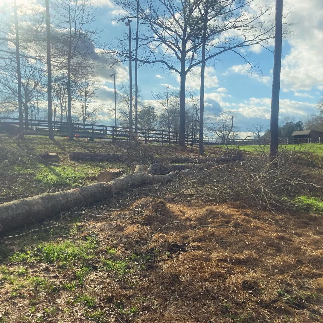  for Kingdom Tree Cuts in Birmingham, AL