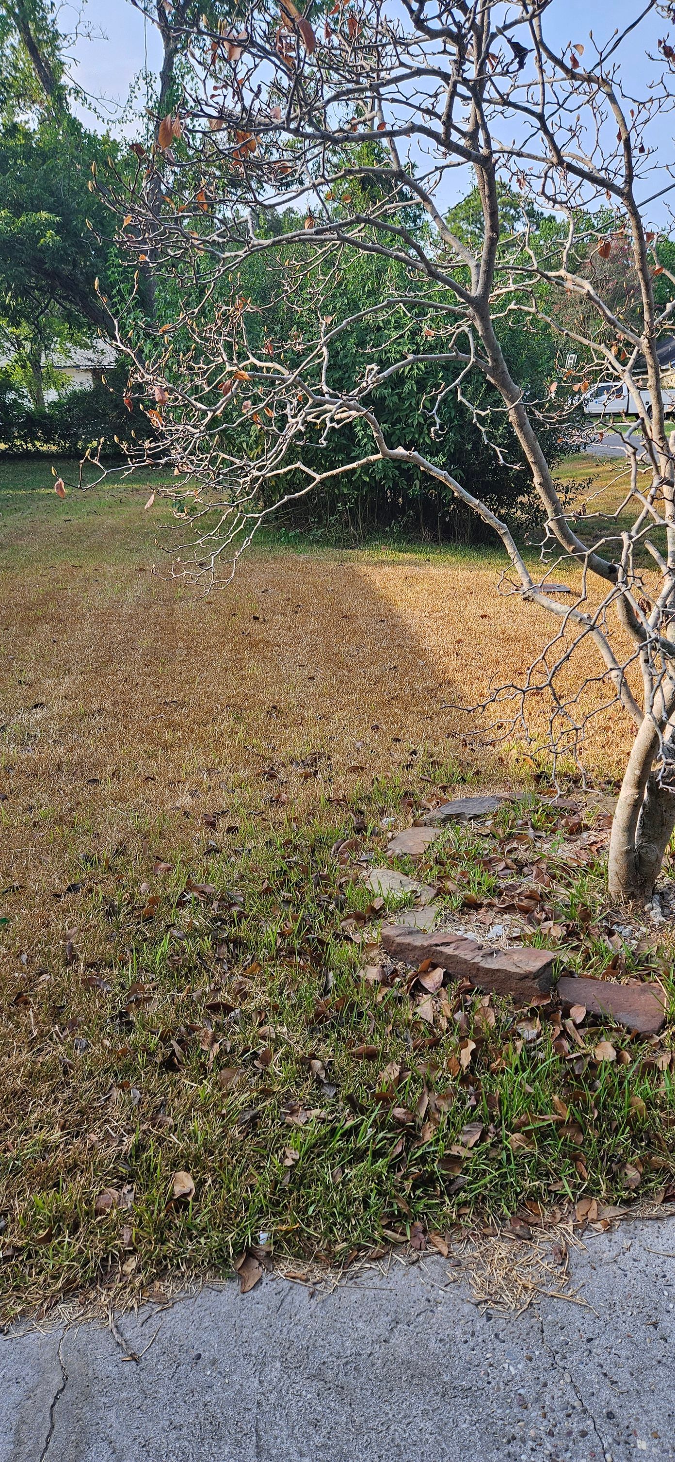 All Photos for Gulf-Tex Lawn Care in Baytown, TX