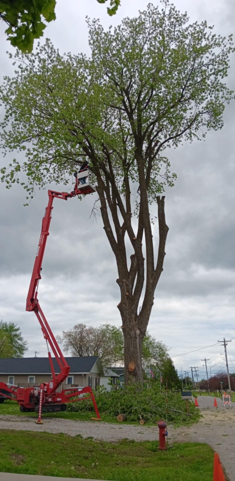  for Lawn Ranger Yard And Tree Service LLC in Ottumwa, IA