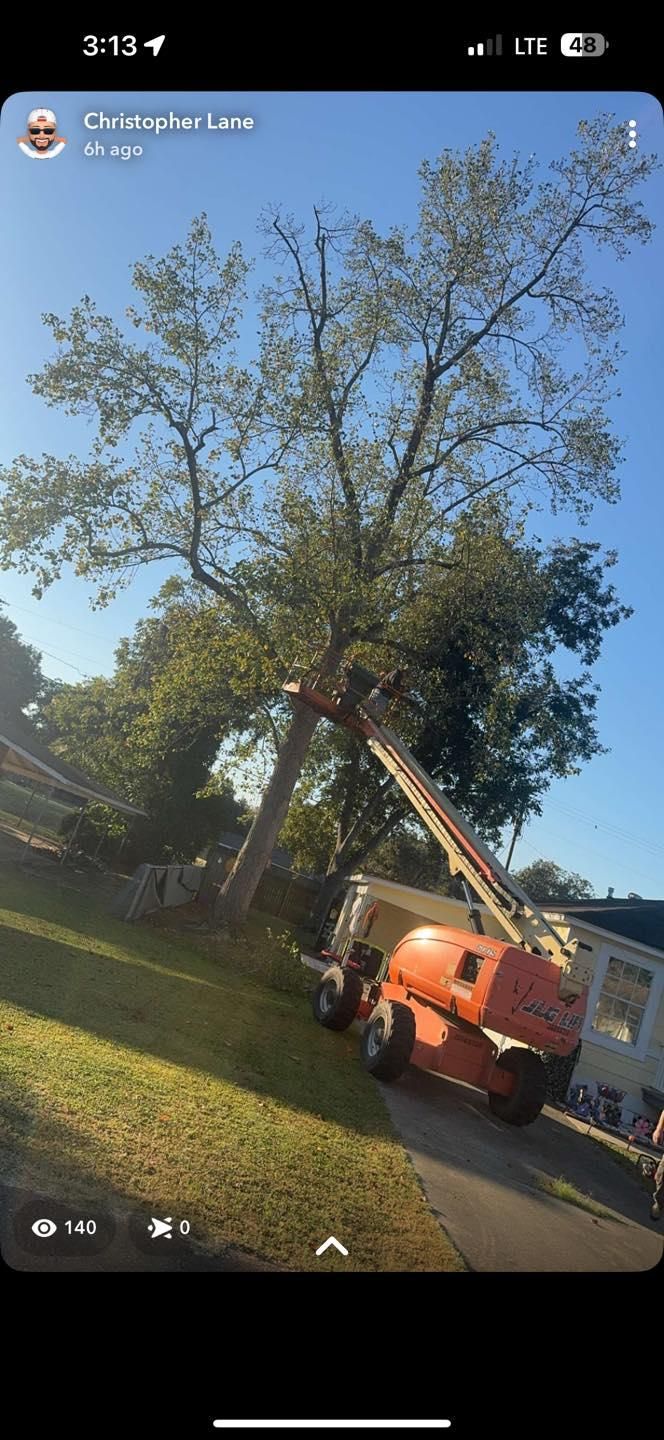  for Morace Tree Service in Natchez,,  MS